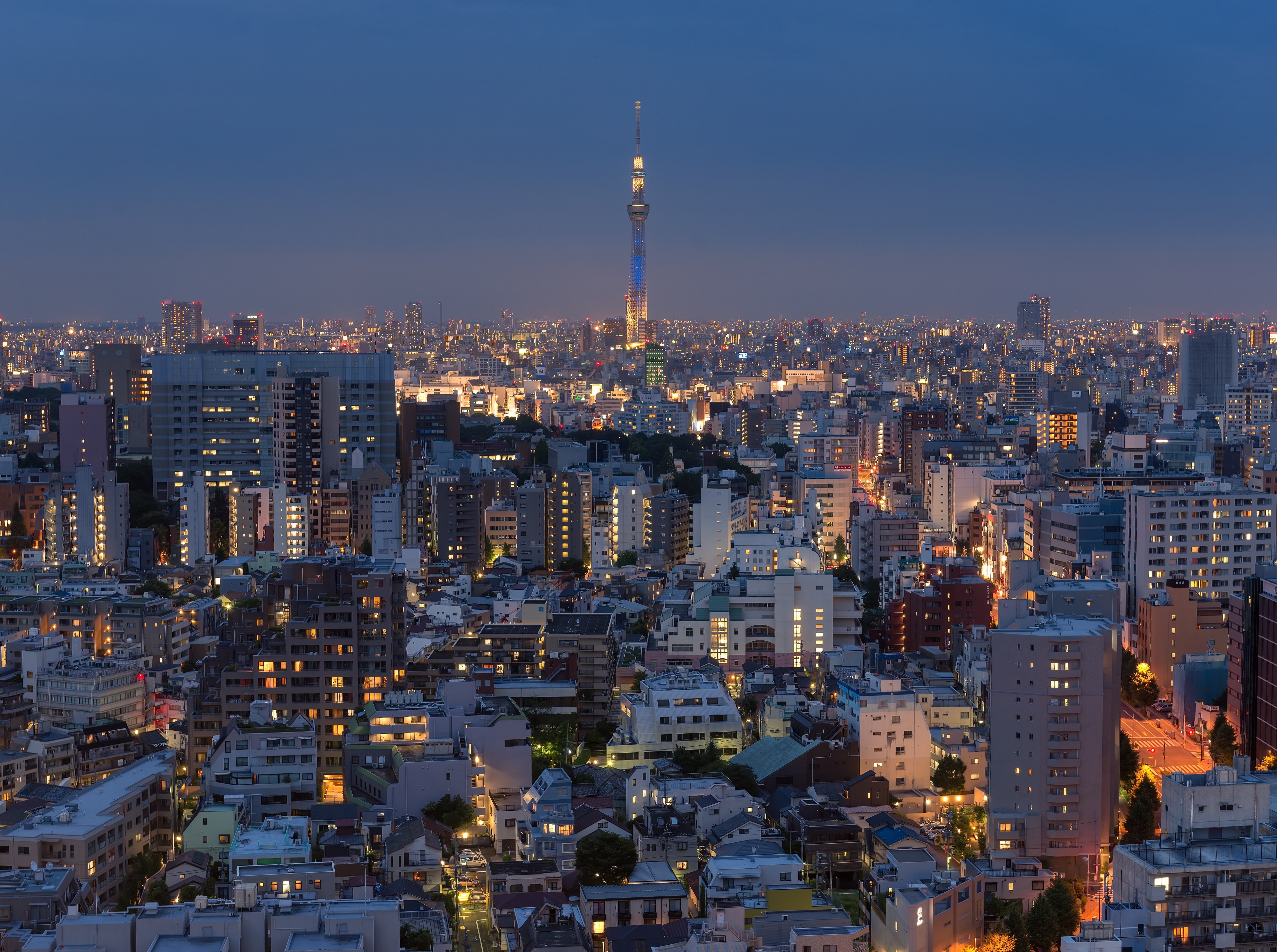 crowd, Tokyo, skyscraper, building, buildings, nature, City, tower, Cityscape, Observation, illuminated, Landscape, high, sunset, building exterior, bunkyo, HD Wallpaper