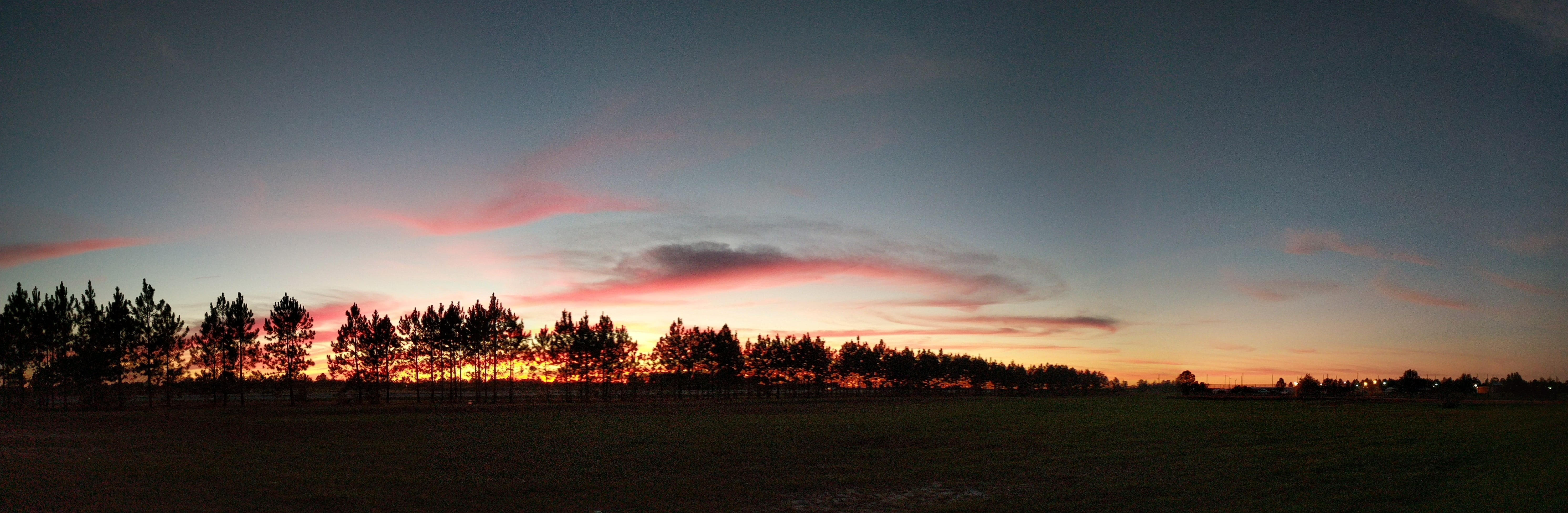 sky, scenics - nature, clouds, beauty in nature, 5K, colorful, sunrise, no people, tranquil scene, land, red, environment, pine tree, plant, dramatic, HD Wallpaper
