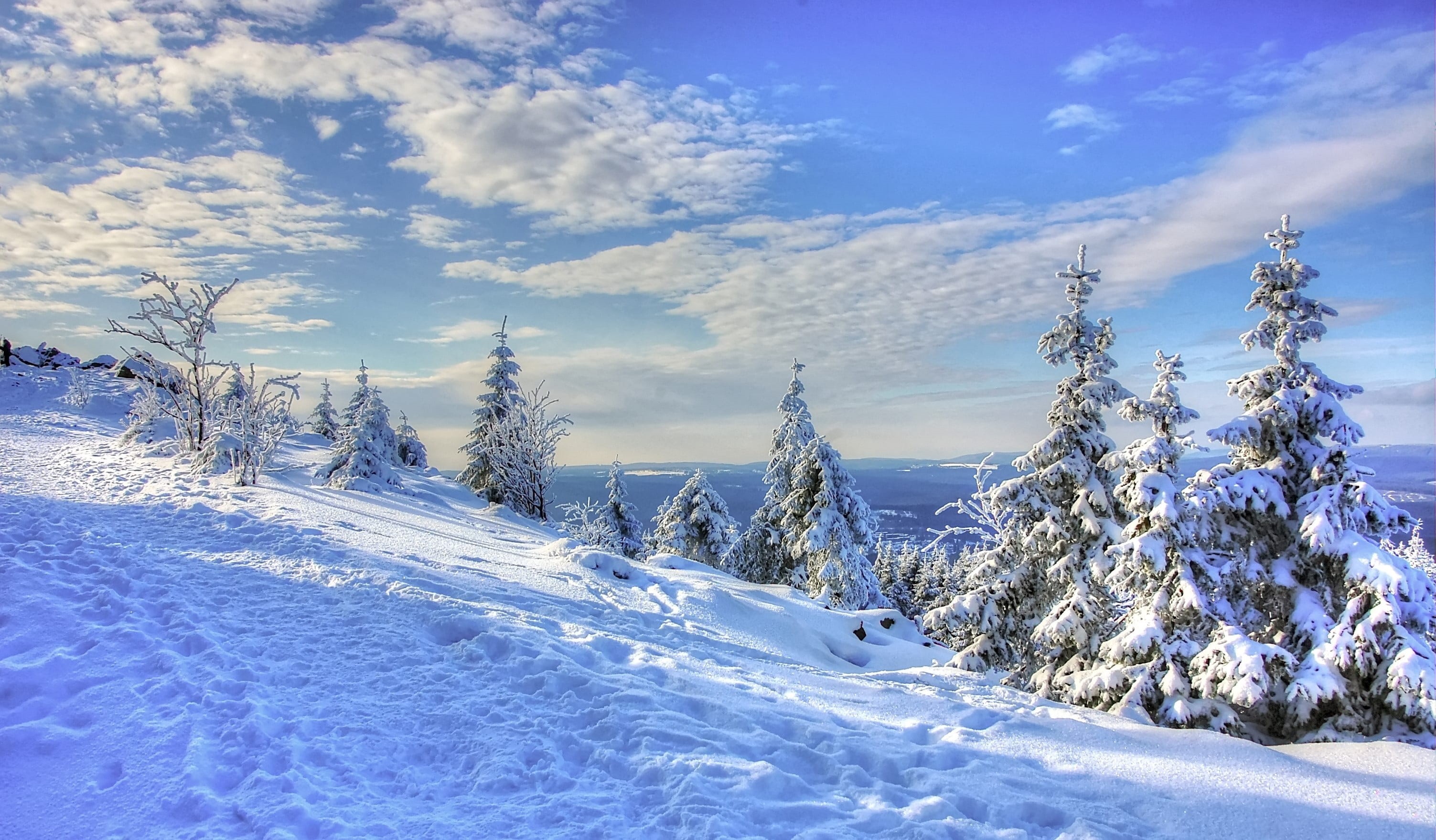 frost, cold, mountain landscape, non-urban scene, resin, season, blue, snowcapped mountain, tranquil scene, no people, tranquility, environment, outlook, HD Wallpaper