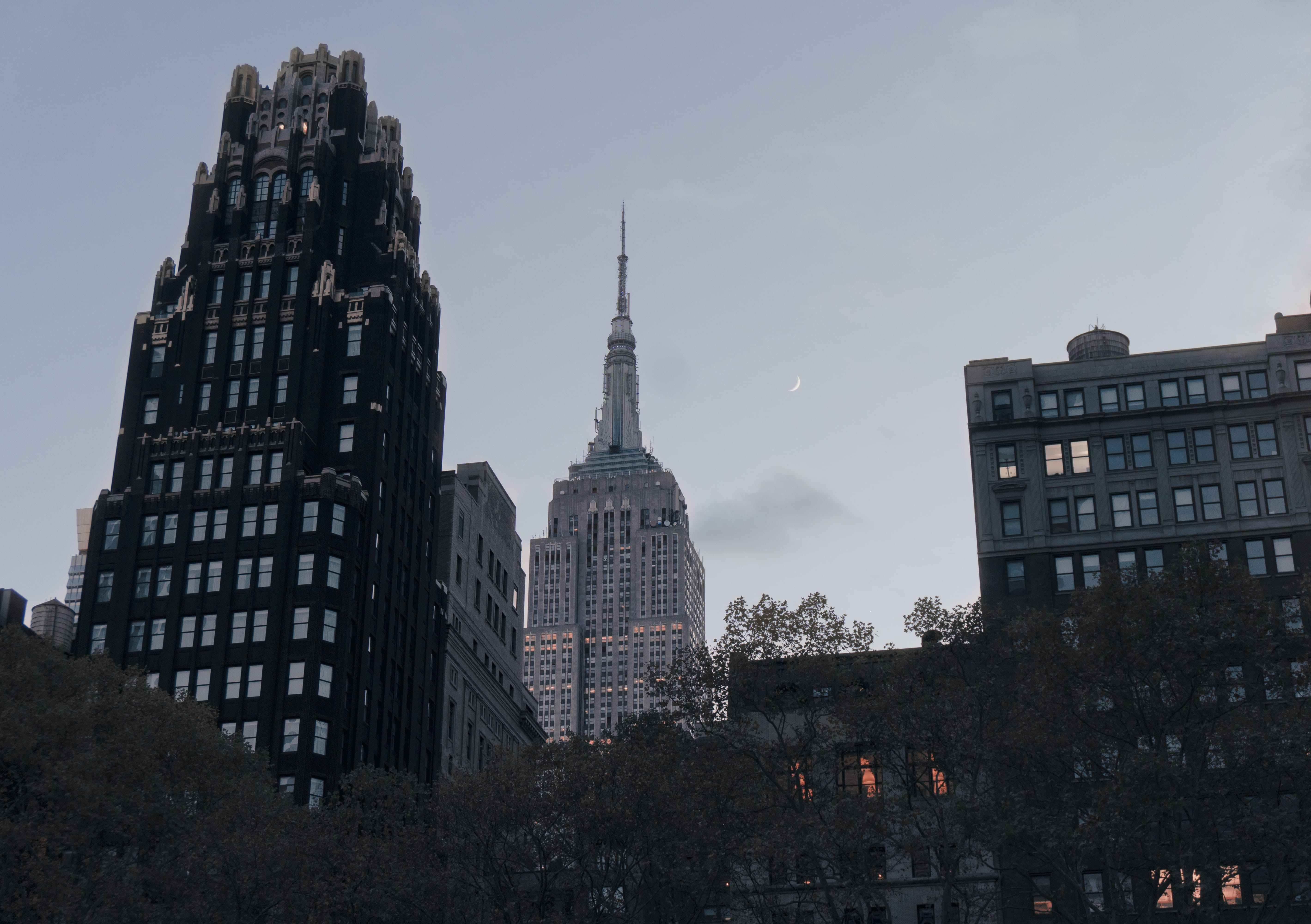 building exterior, newyork, tree, buildings, travel destinations, travel, trees, empire, 5K, spire, tall - high, streets, outdoors, empire state building, HD Wallpaper