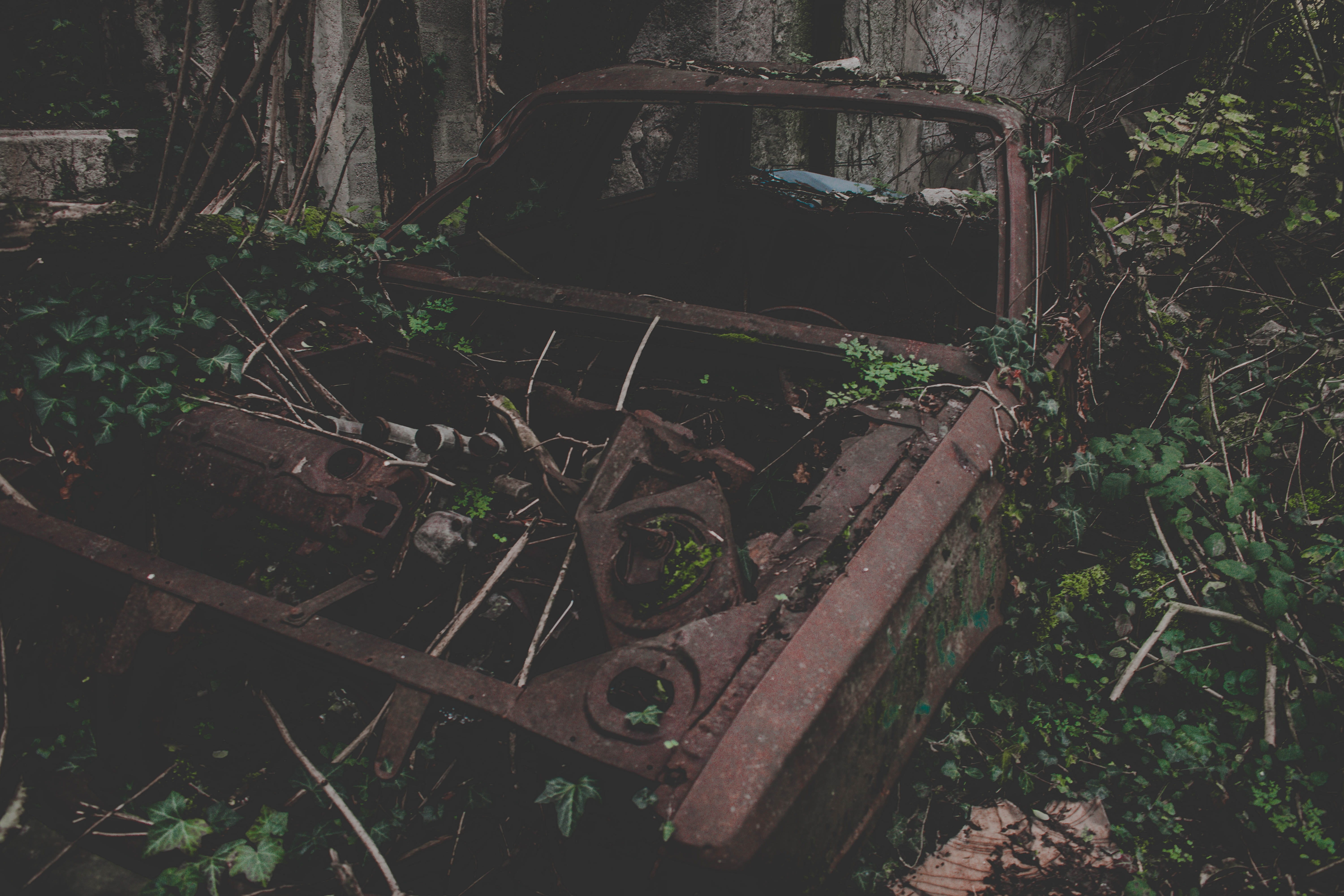 auto, no people, abandon, exploration, urban, day, decline, urbex, 5K, exploration urbaine, rusty, car, grass, growth, obsolete, abandoned car, deterioration, HD Wallpaper