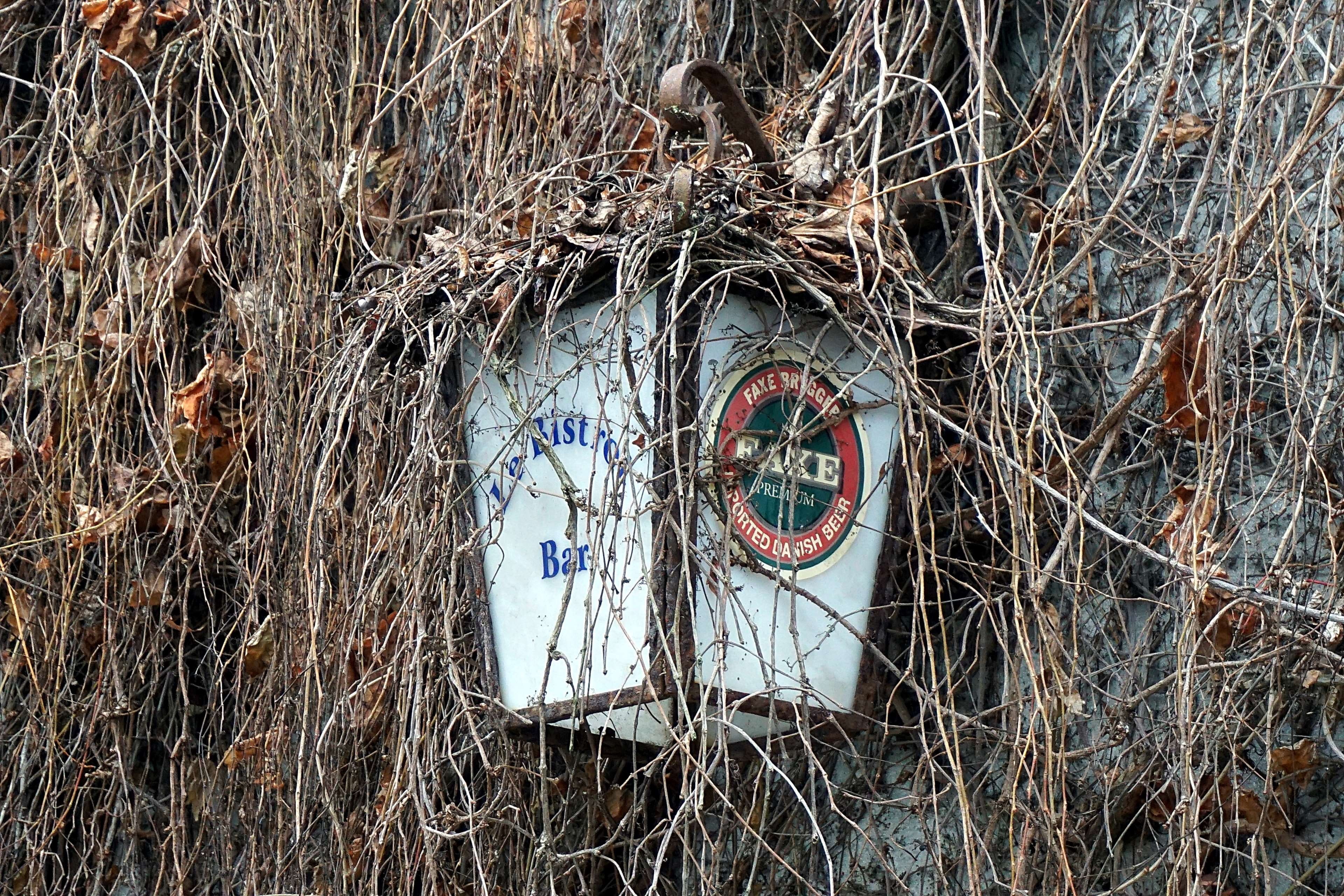 bare tree, branch, architecture, bar, information sign, ville, representation, plant, reflection, road sign, information, abandoned, 4K, close-up, commerce, HD Wallpaper
