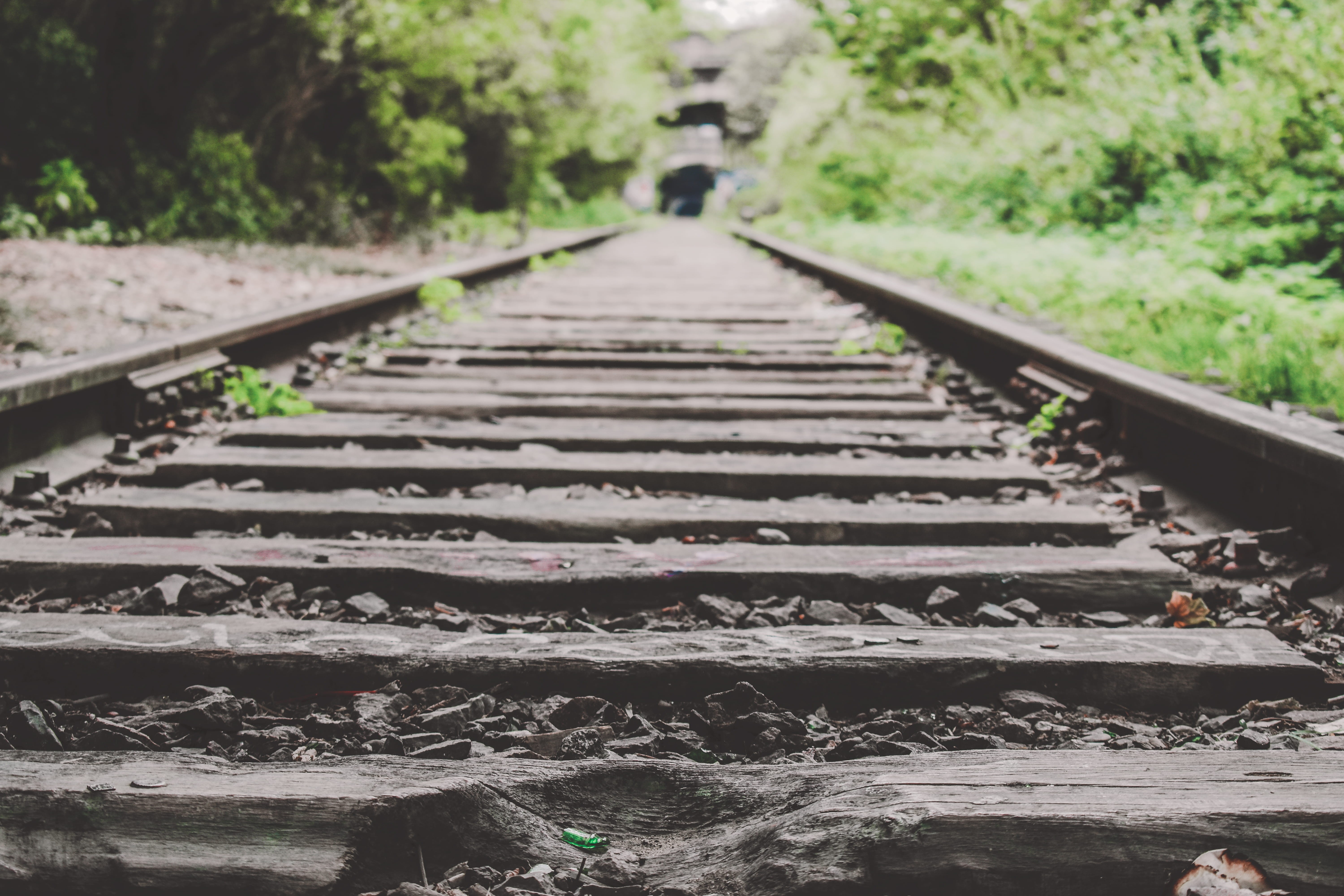 mode of transportation, abandoned, diminishing perspective, abandon, railway, chemin de fer, forest, long, travel, fer, urbaine, the way forward, plant, HD Wallpaper