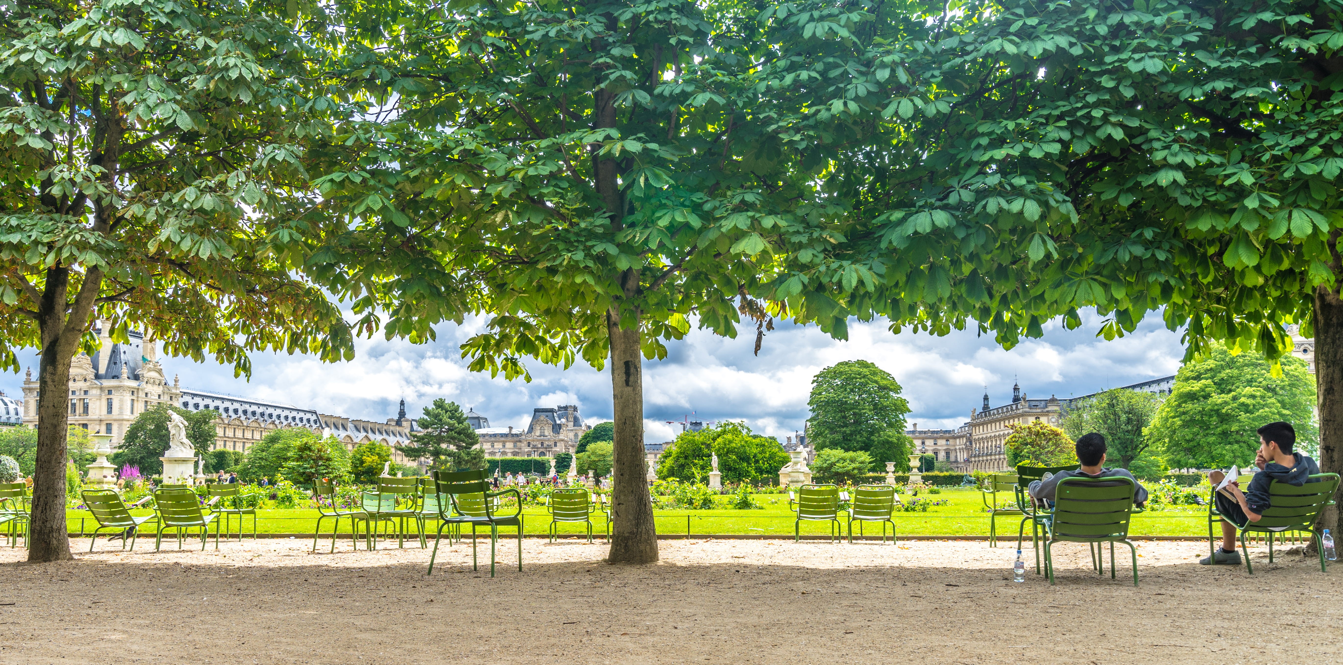 green, museum, gardens, highres, growth, background, rear view, sharp, beauty in nature, leisure activity, 5K, hd, outdoors, landscape, 4k, HD Wallpaper