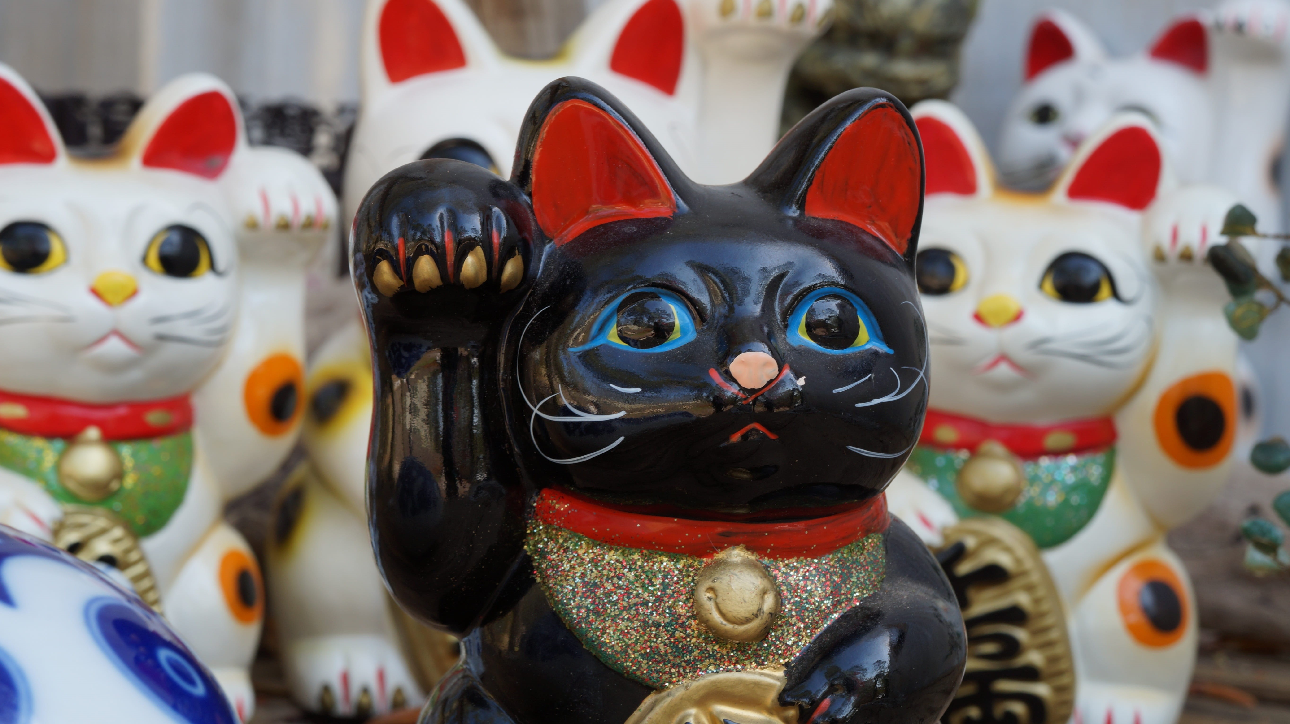 multi colored, art and craft, success, close-up, day, maneki, black, human representation, chinese, figurine, tradition, representation, in a row, feng shui, HD Wallpaper
