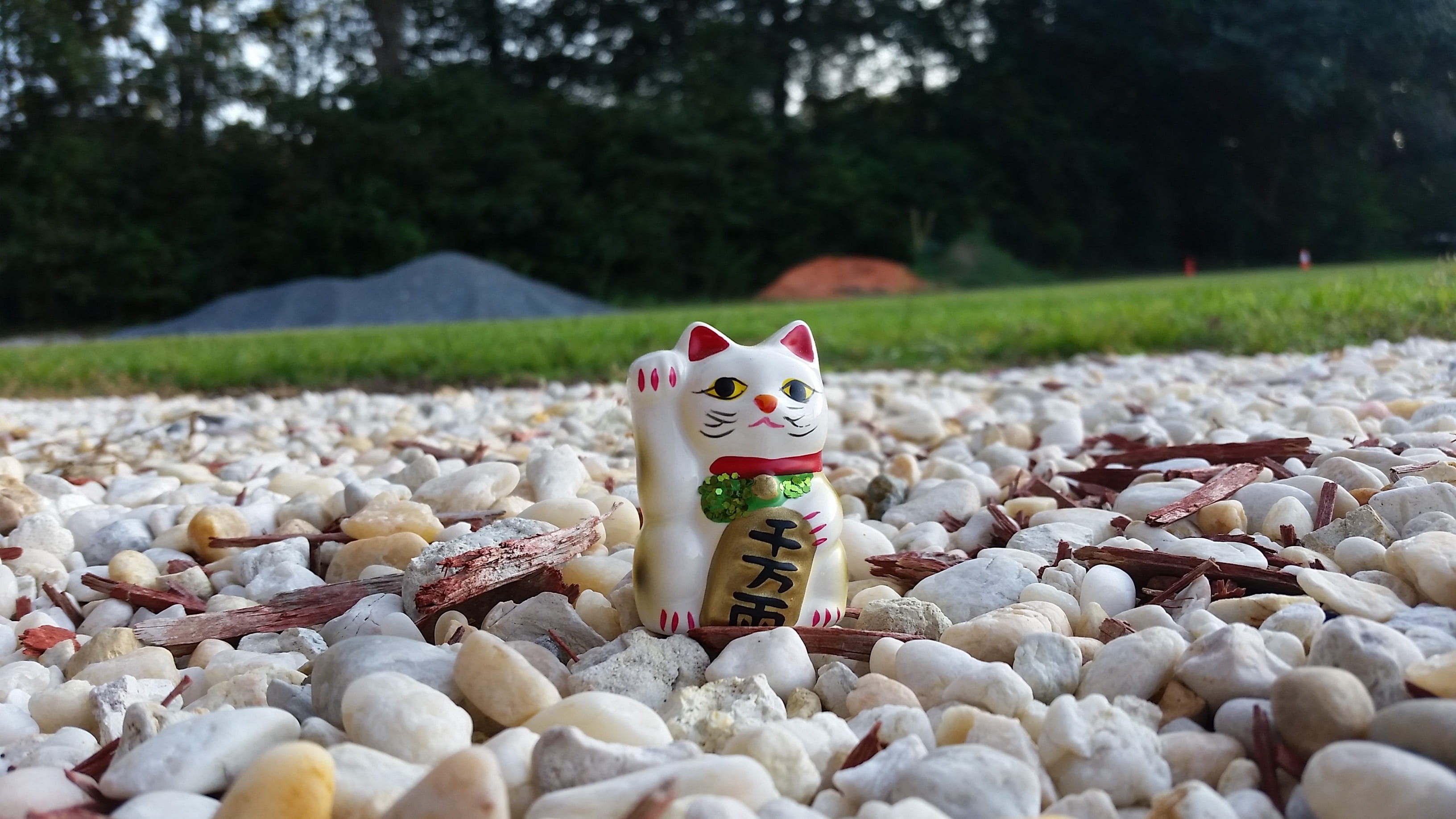 traditional, chinese, japanese, animal, no people, tradition, domestic, animal representation, toy, maneki, paw, gold, tree, fortune, china, representation, HD Wallpaper