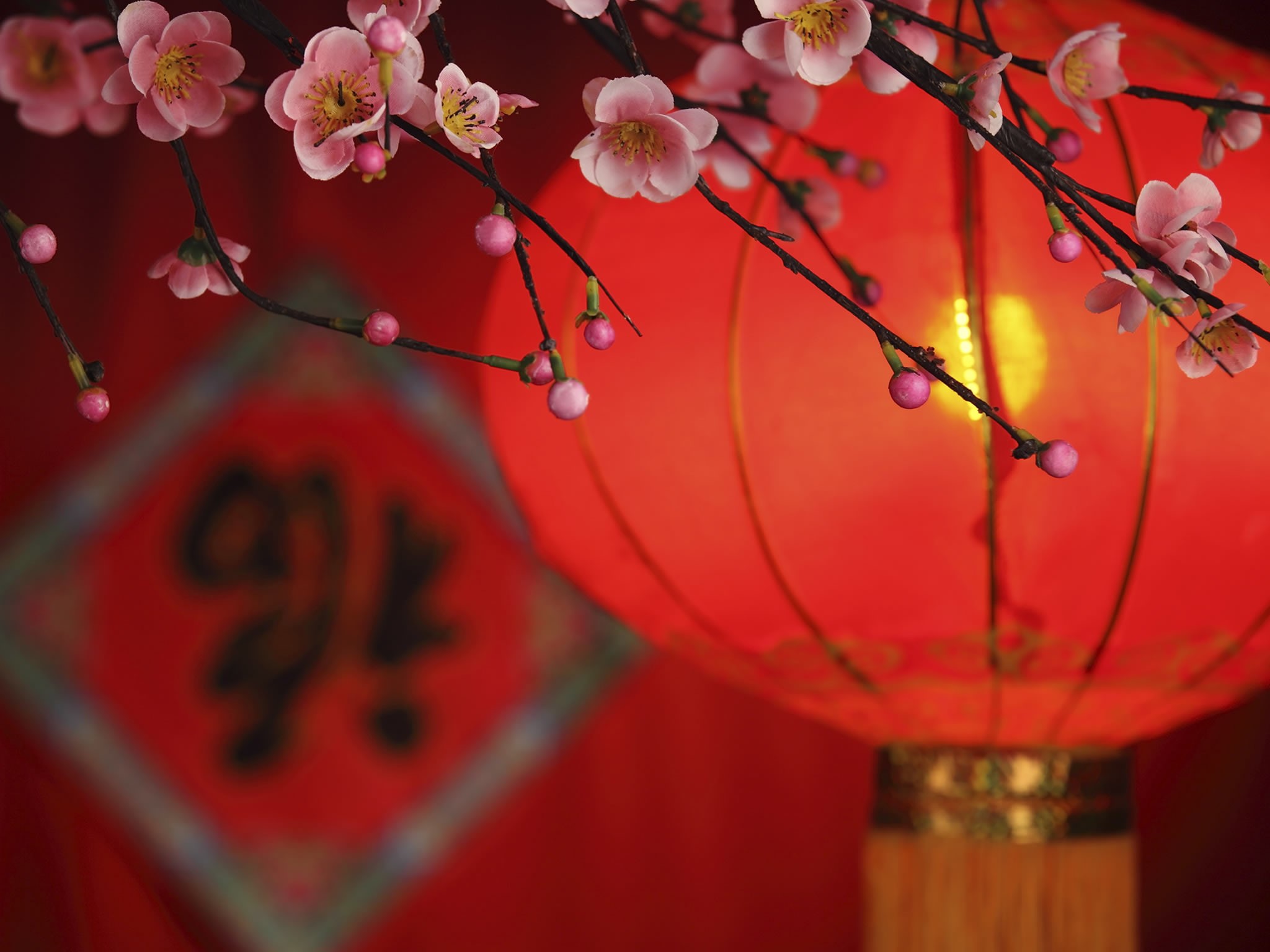 lunar, oriental, folk, new, religion, religious, year, holiday, festival, chinese, celebration, 1080P, party, china, asian, HD Wallpaper