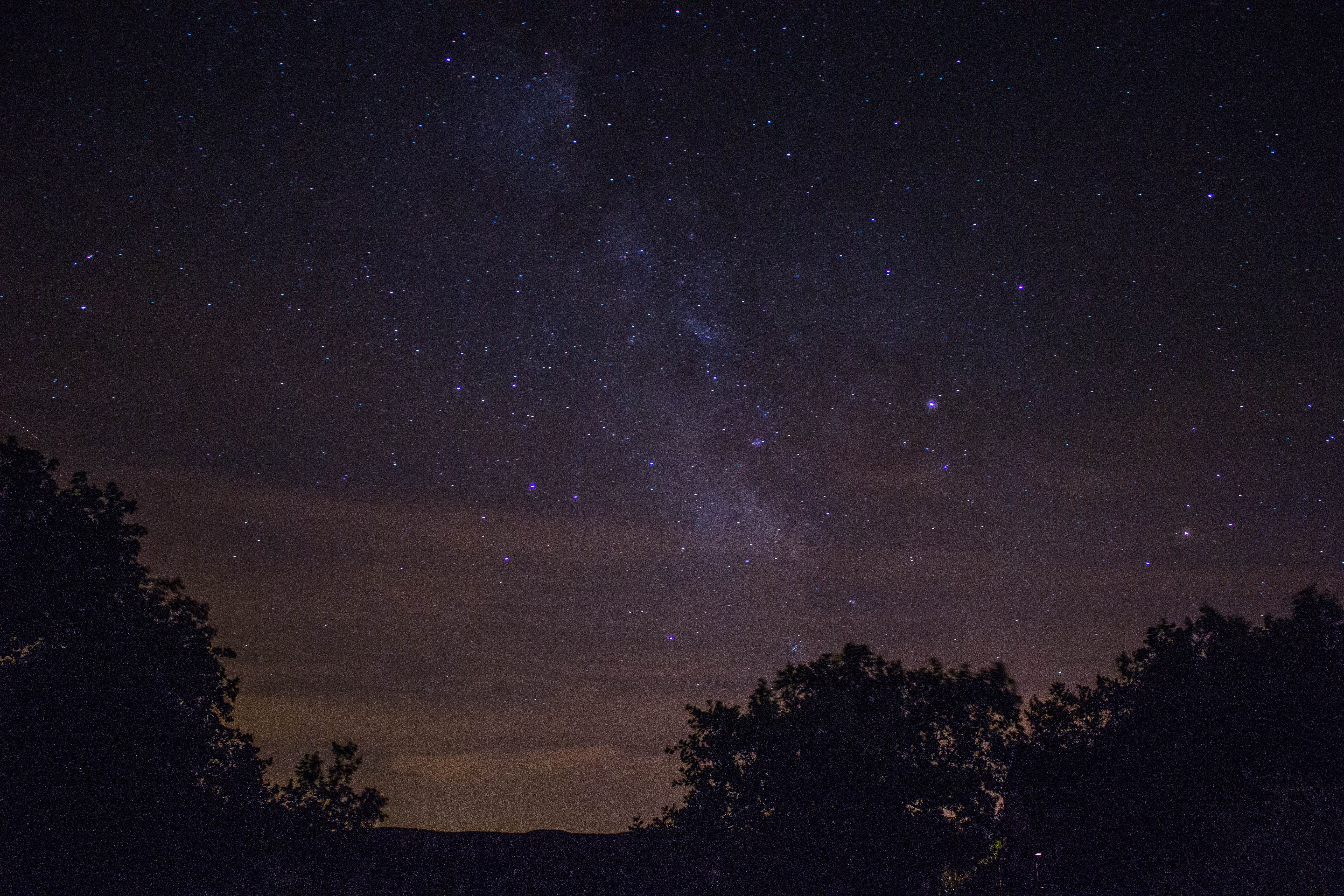 tranquil scene, tall, via lactea, estrella, 5K, beauty in nature, plant, growth, voie lactée, silhouette, tranquility, space, stars, dusk, no people, daytime, HD Wallpaper