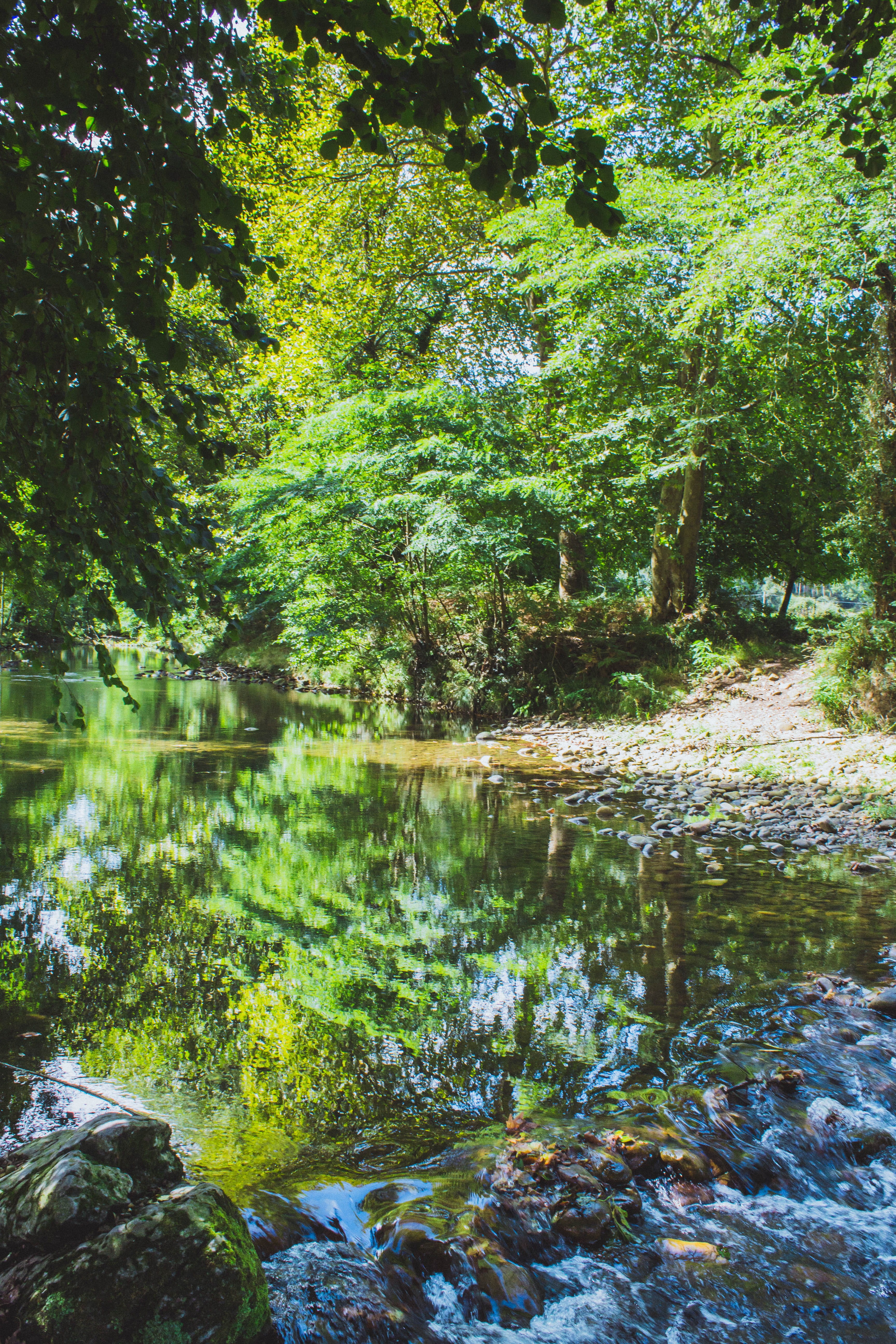 stream - flowing water, green, tranquility, tranquil scene, rock, orilla, guriezo, outdoors, verde, 5K, land, beauty in nature, non-urban scene, dom, corriente, Phone HD Wallpaper