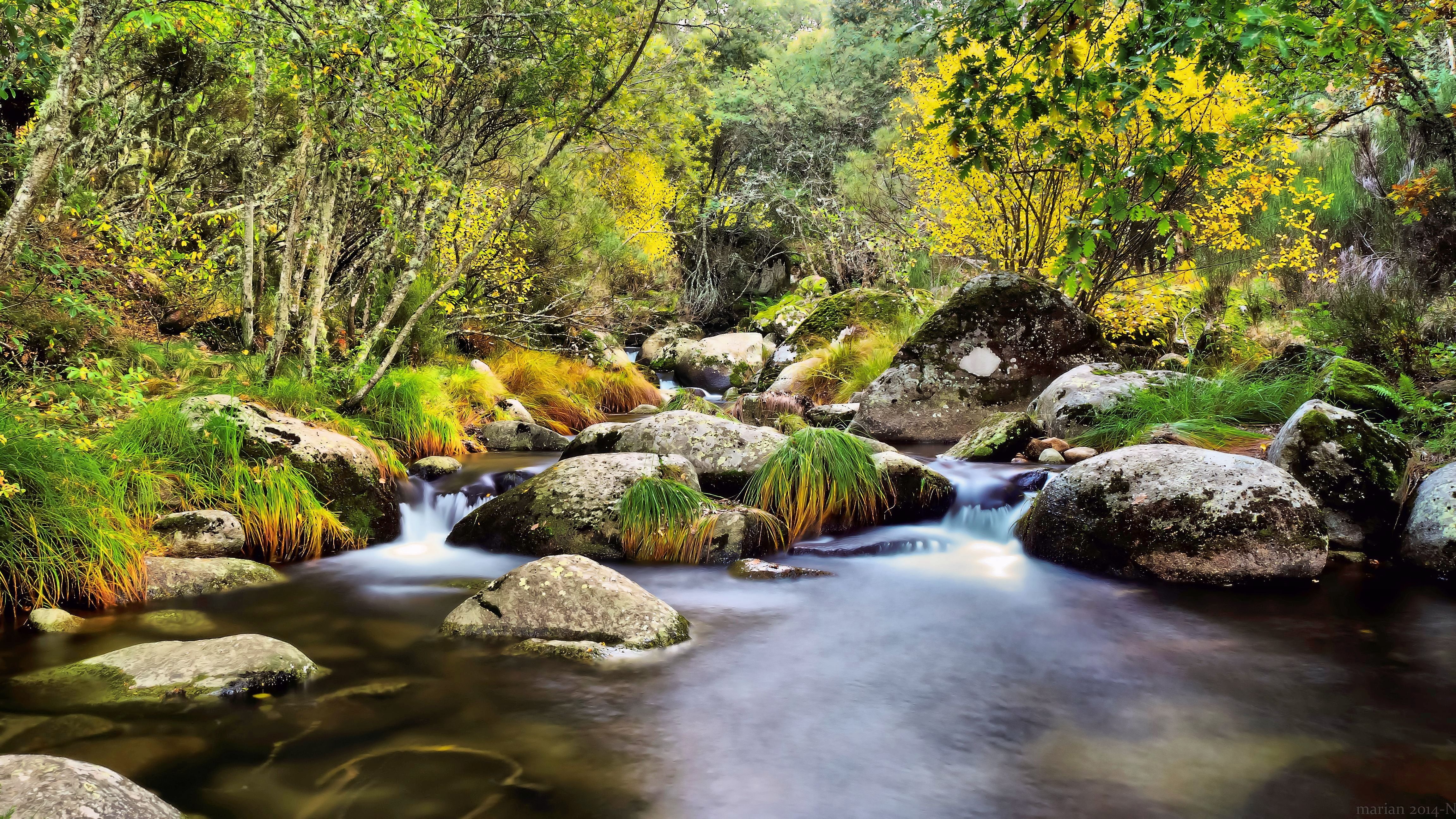 Salamanca, water, first days, stream, leaf, freshness, 4K, Castilla y León, tree, rock - Object, de, beauty In Nature, Spain, fall, waterfall, outdoors, HD Wallpaper