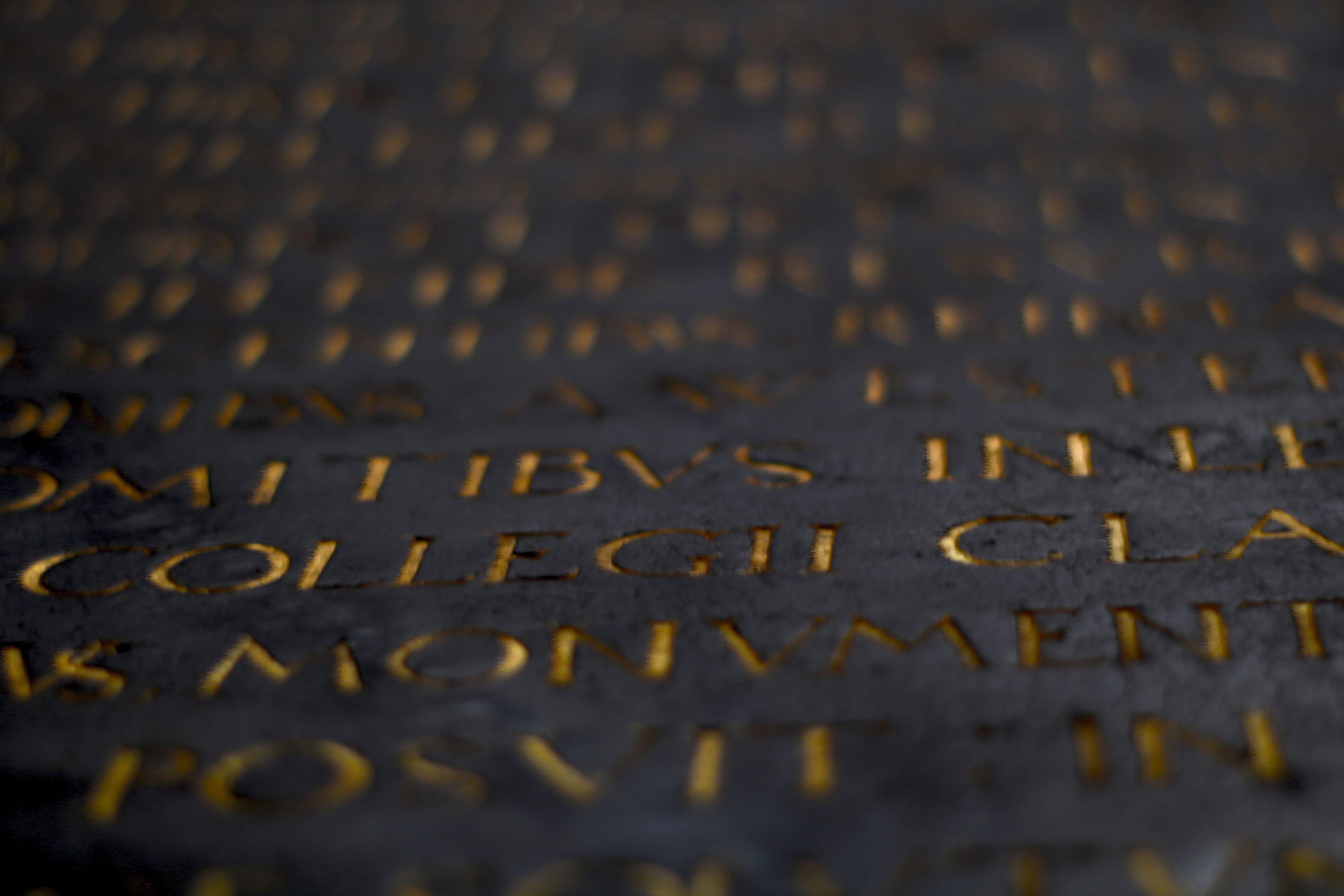 cologne, germany, letter, 5K, western script, no people, bokeh, information, close-up, selective focus, full frame, text, nature, black, street, backgrounds, HD Wallpaper