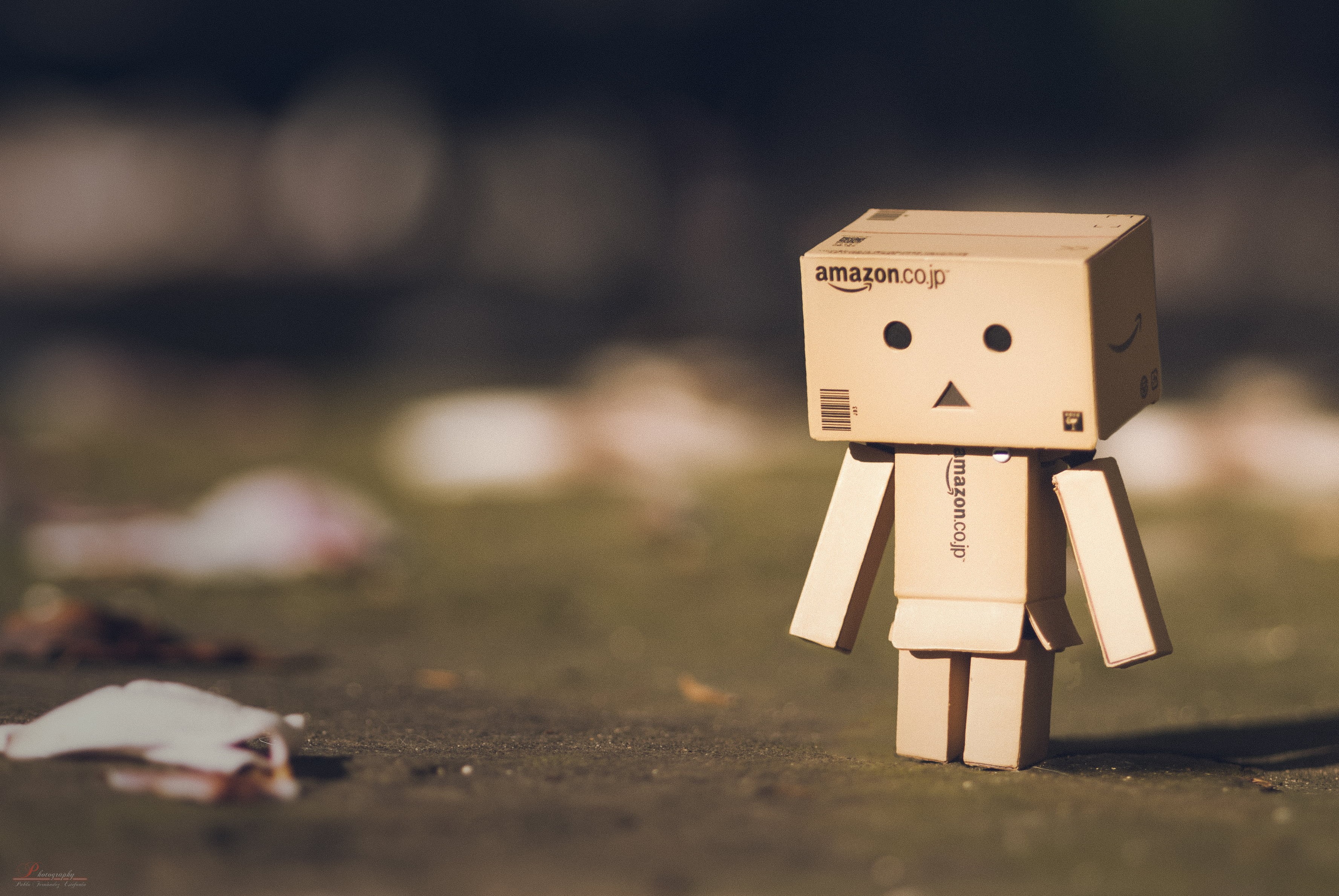 sentimientos, cardboard, Autumn, nature, sigma, close  up, 2K, light, field, photo, best, cry, nikon  d80, depth, imagen, desktop  background, wood - Material, HD Wallpaper