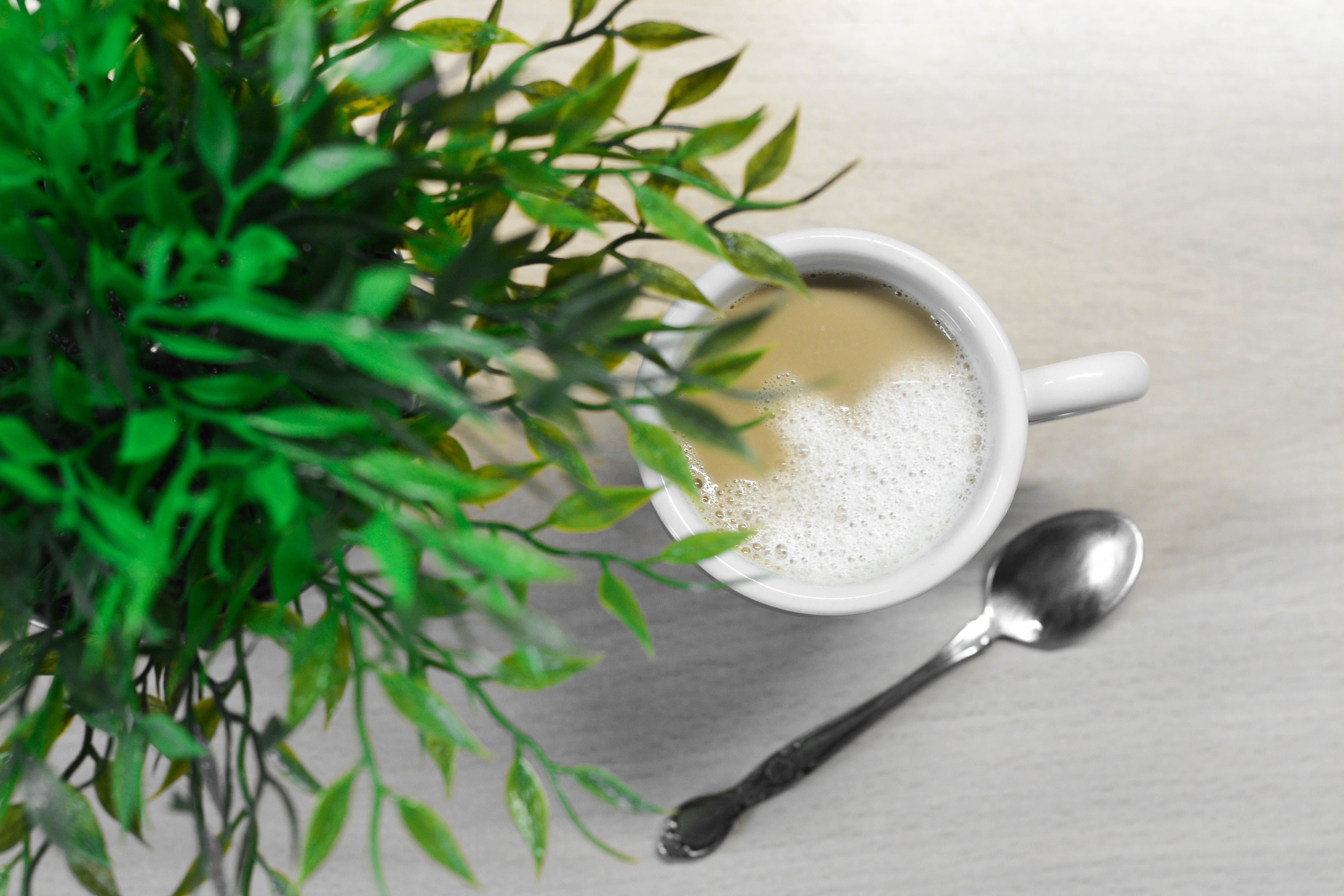 café, eating utensil, directly above, drink, mug, no people, refreshment, spoon, coffee, teaspoon, herb, 5K, freshness, spain, close-up, kitchen utensil, HD Wallpaper