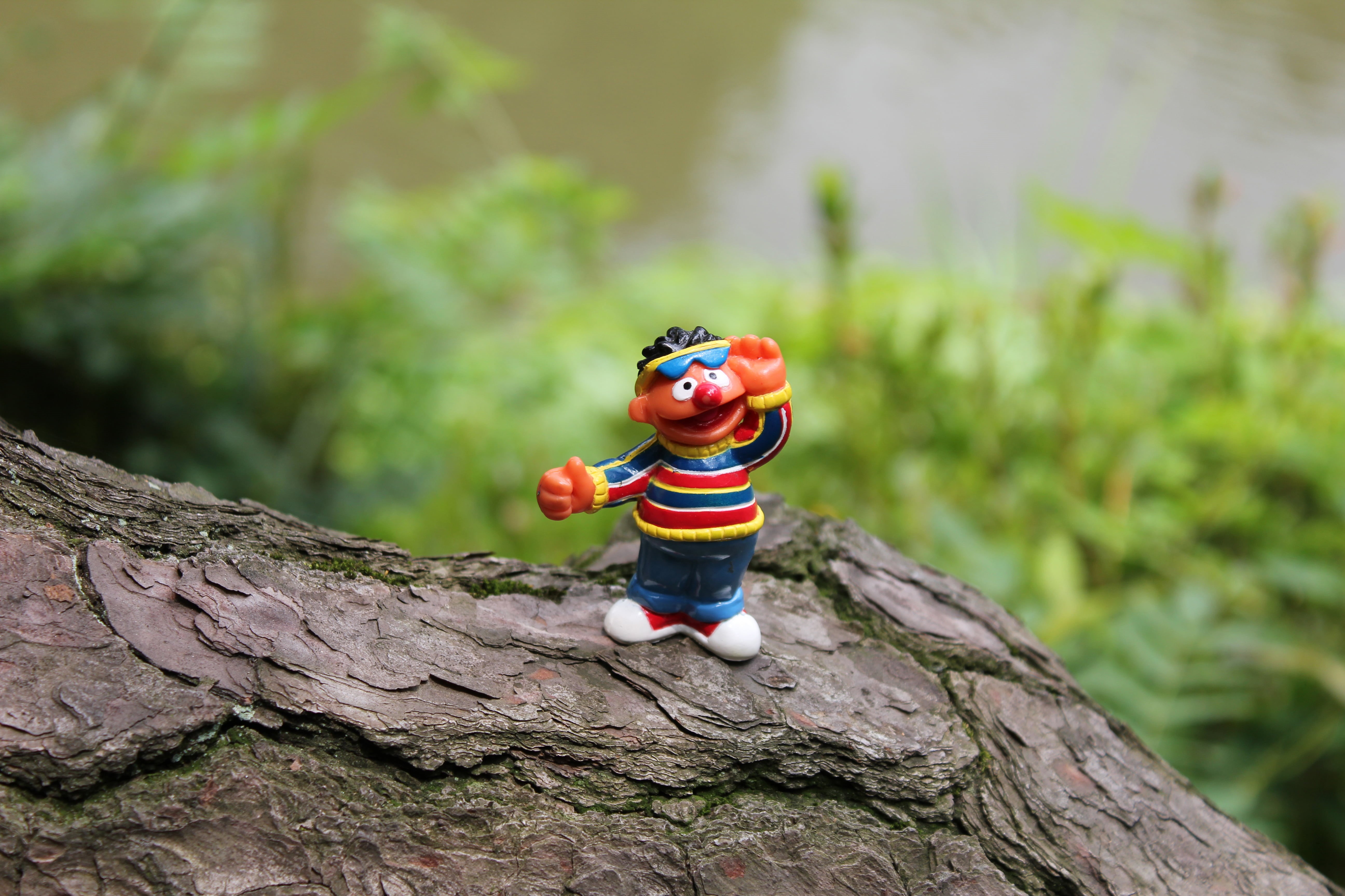 closeup, humour, gracioso, Sesame Street, tronco, tree, postcard, fondo, 2d, stock, Kanto, Creative Commons, photo, CC-BY, arbre, postal, pictures, humor, HD Wallpaper