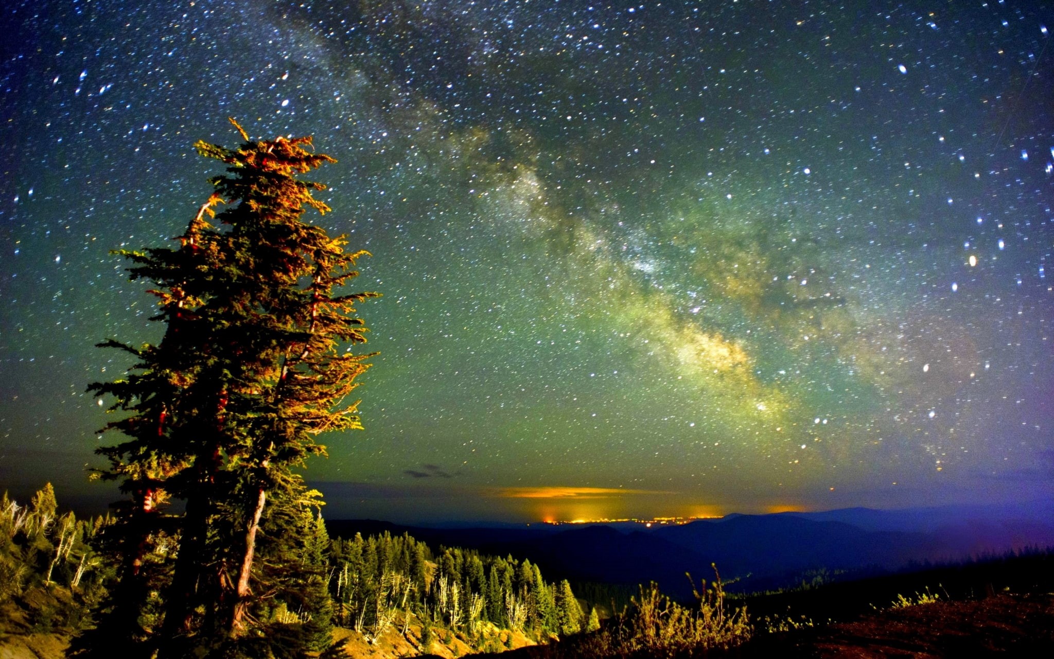nature, astronomy, environment, growth, tranquility, beauty in nature, plant, tree, night sky screensavers backgrounds, idyllic, scenics - nature, star - space, HD Wallpaper