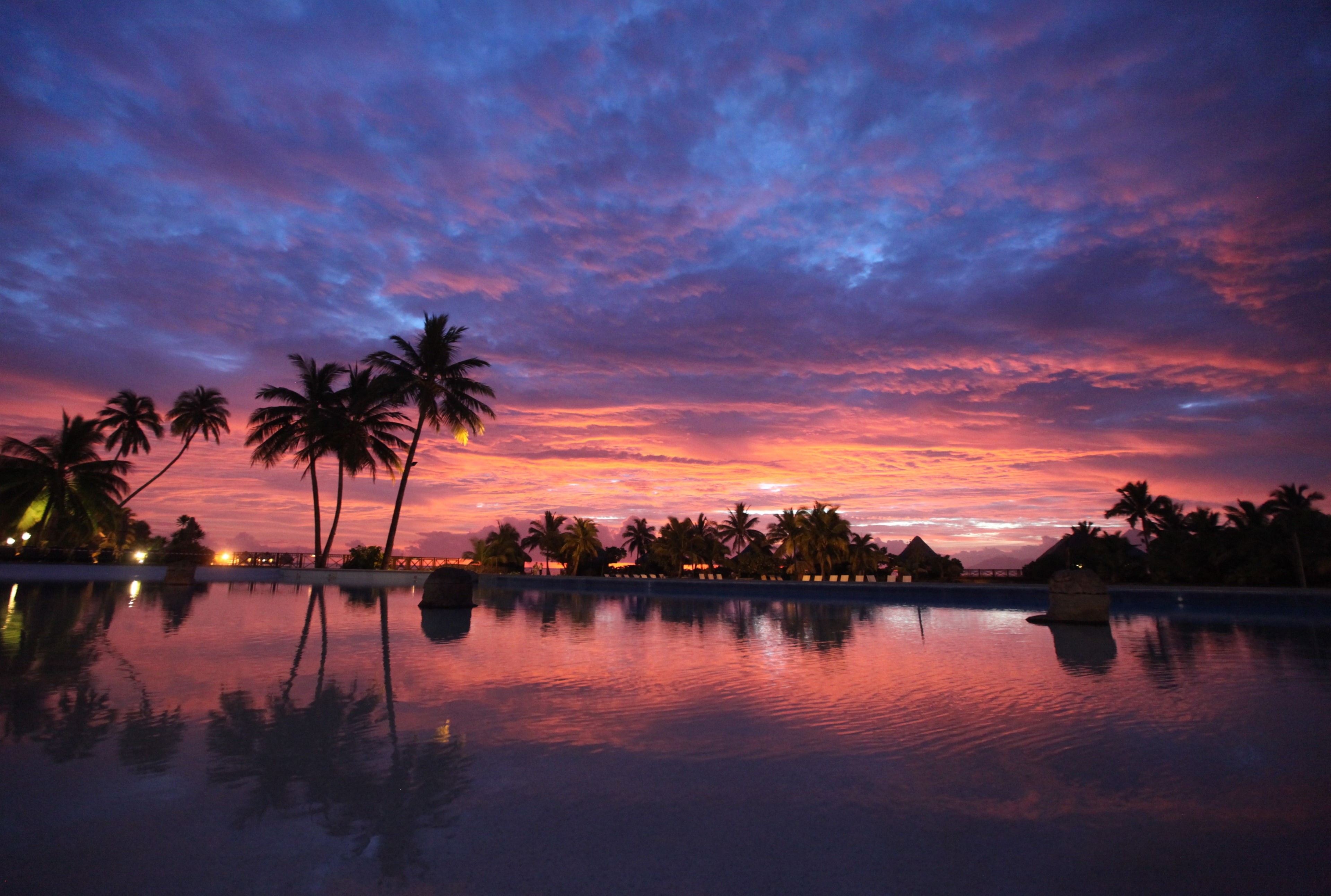 no people, sunset 4k  screensaver, palm tree, nature, travel destinations, romantic sky, swimming pool, silhouette, scenics - nature, sky, tranquility, HD Wallpaper