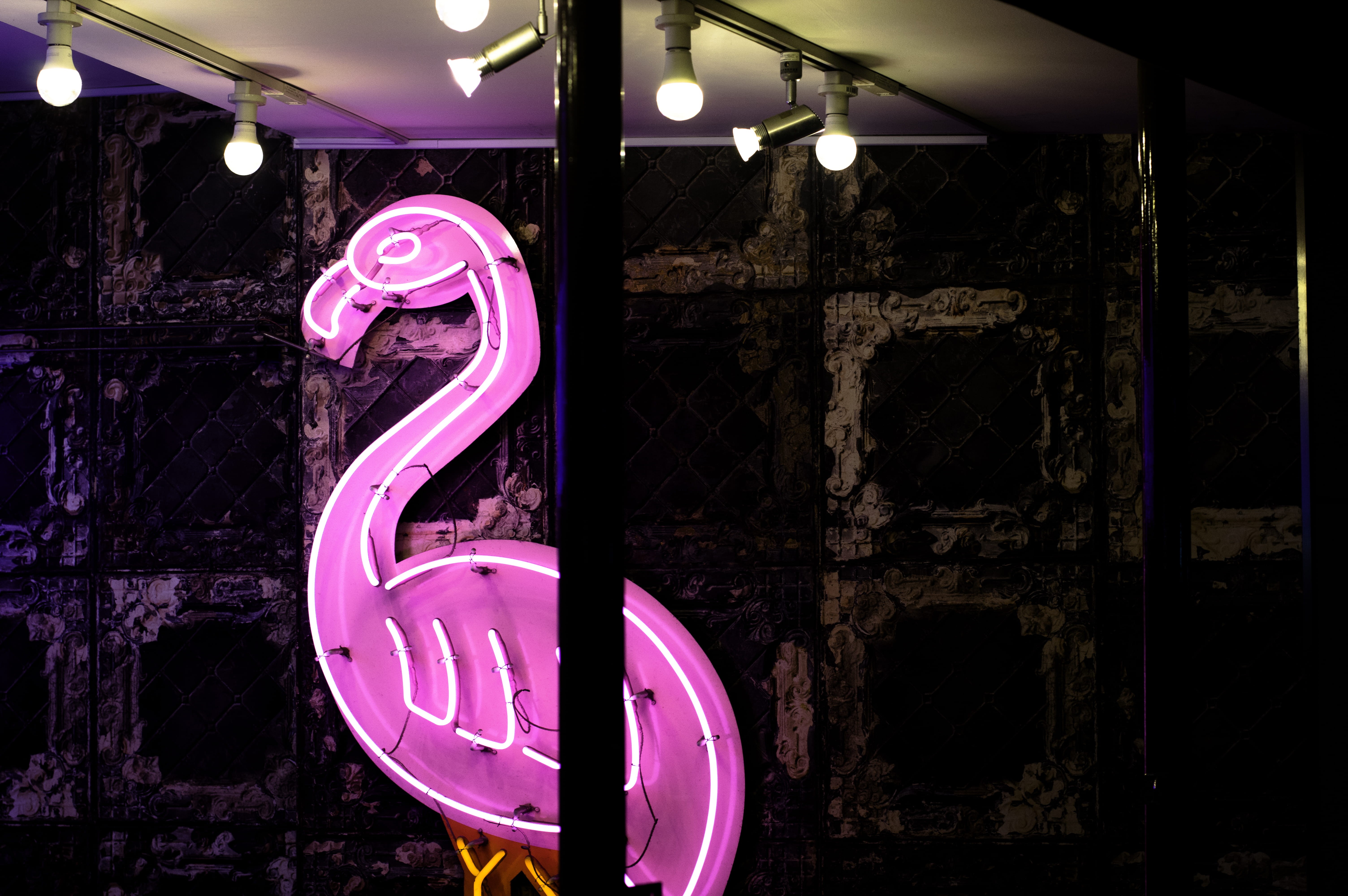 no people, 5K, club, accessories, wall - building feature, indoors, nightlife, pink color, built structure, light painting, electricity, ampersand, night, HD Wallpaper