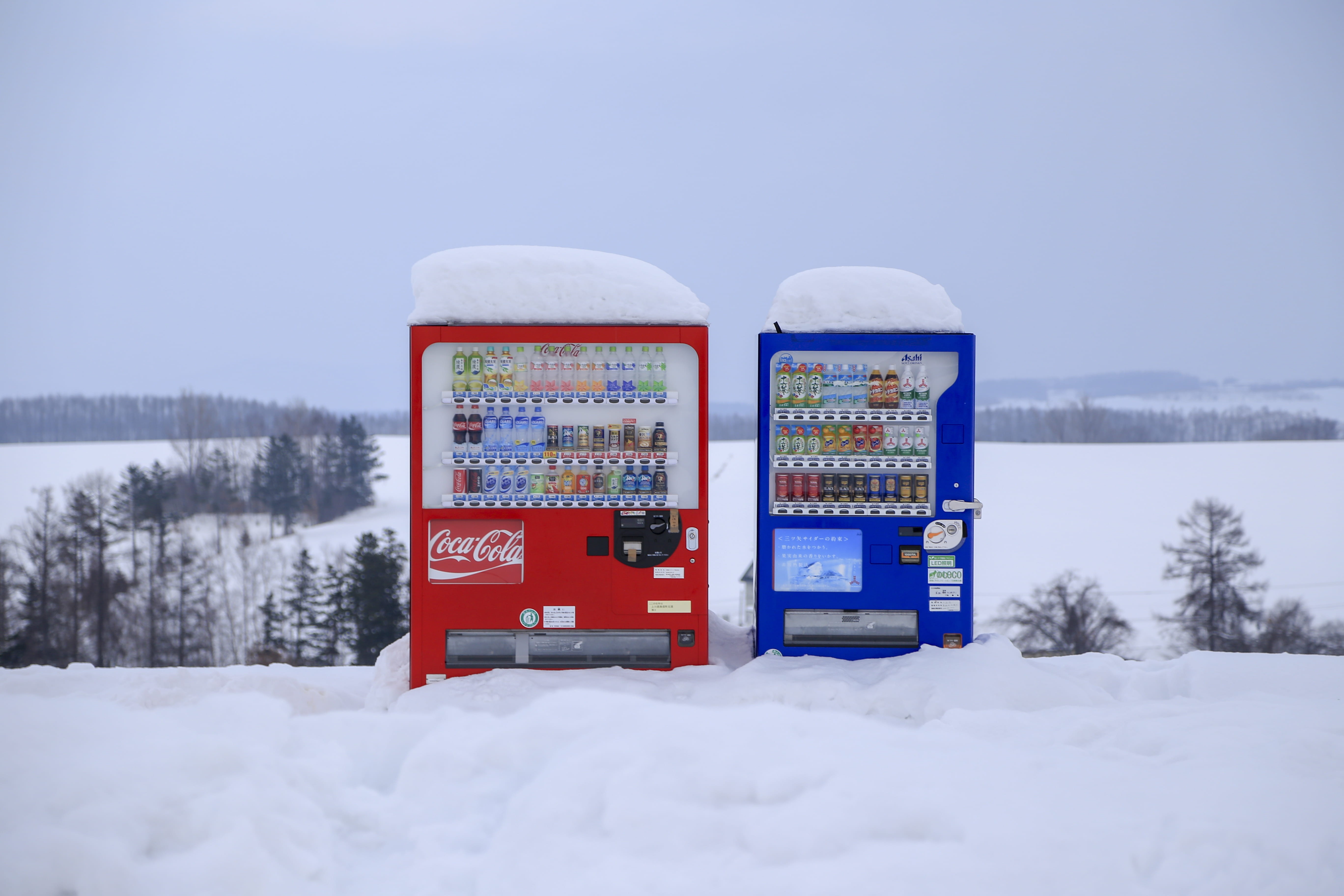 communication, technology, nature, sky, day, blue, cold temperature, field, white color, snow, frozen, telephone booth, clear sky, 5K, no people, telephone, HD Wallpaper