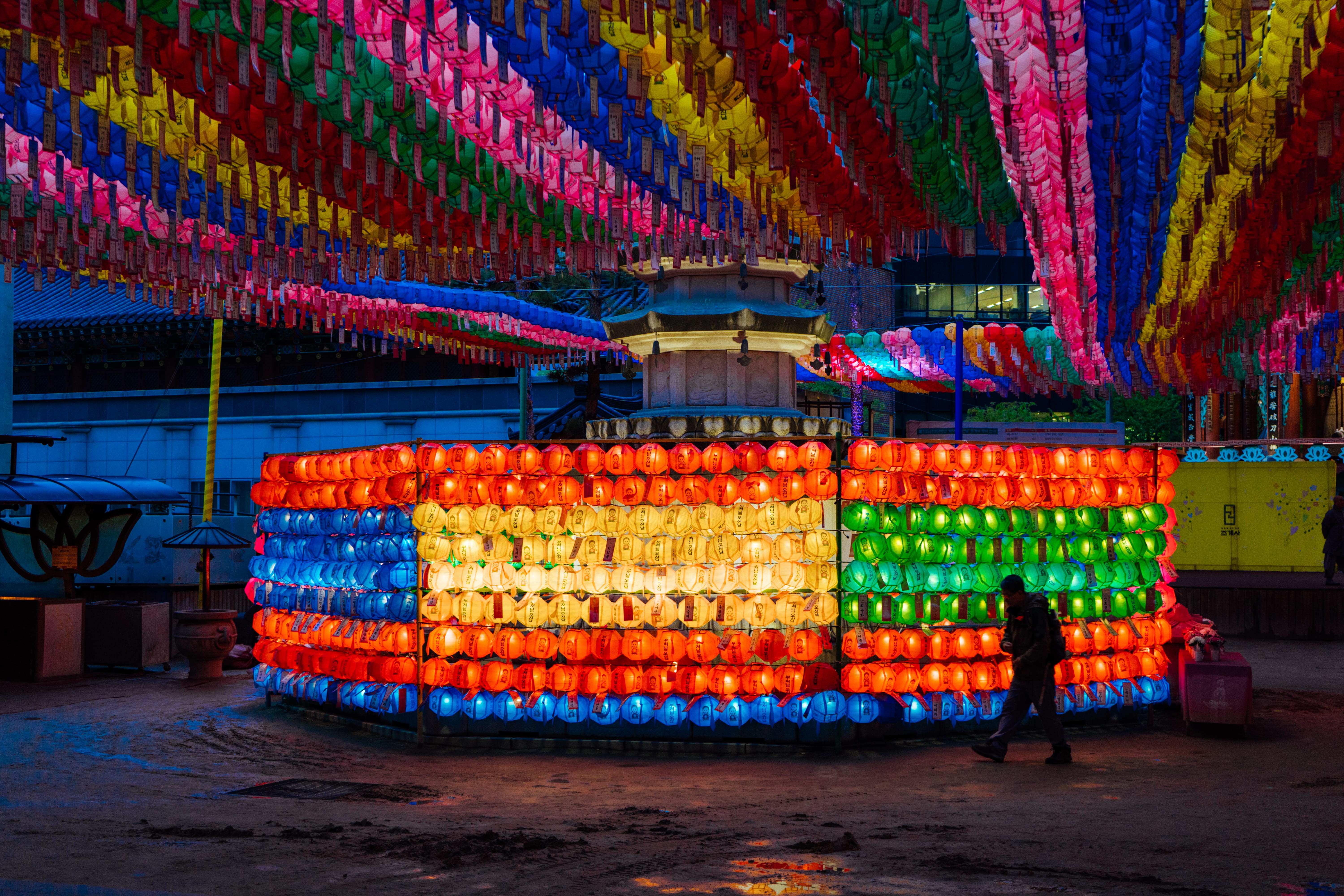 lamp, outdoors, for sale, person, citrus fruit, market, market stall, indoors, night, retail display, assorted, arrangement, chinese new year, plant, monitor, HD Wallpaper