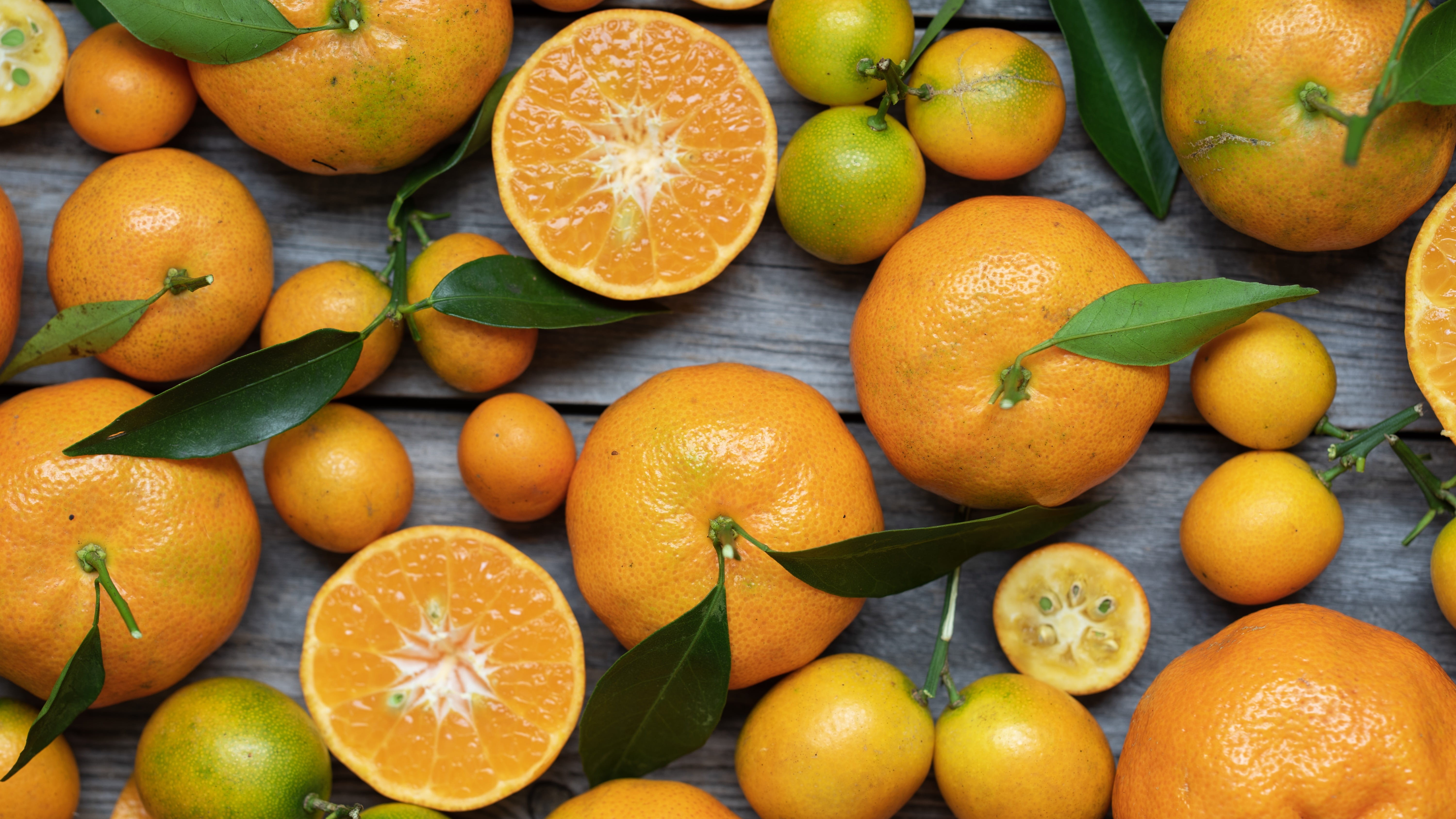 lemon, freshness, still life, bowl, blossom, persimmon, fruit, wellbeing, orange - fruit, fruits, pomelo, plant, blueberry, large group of objects, orange color, HD Wallpaper