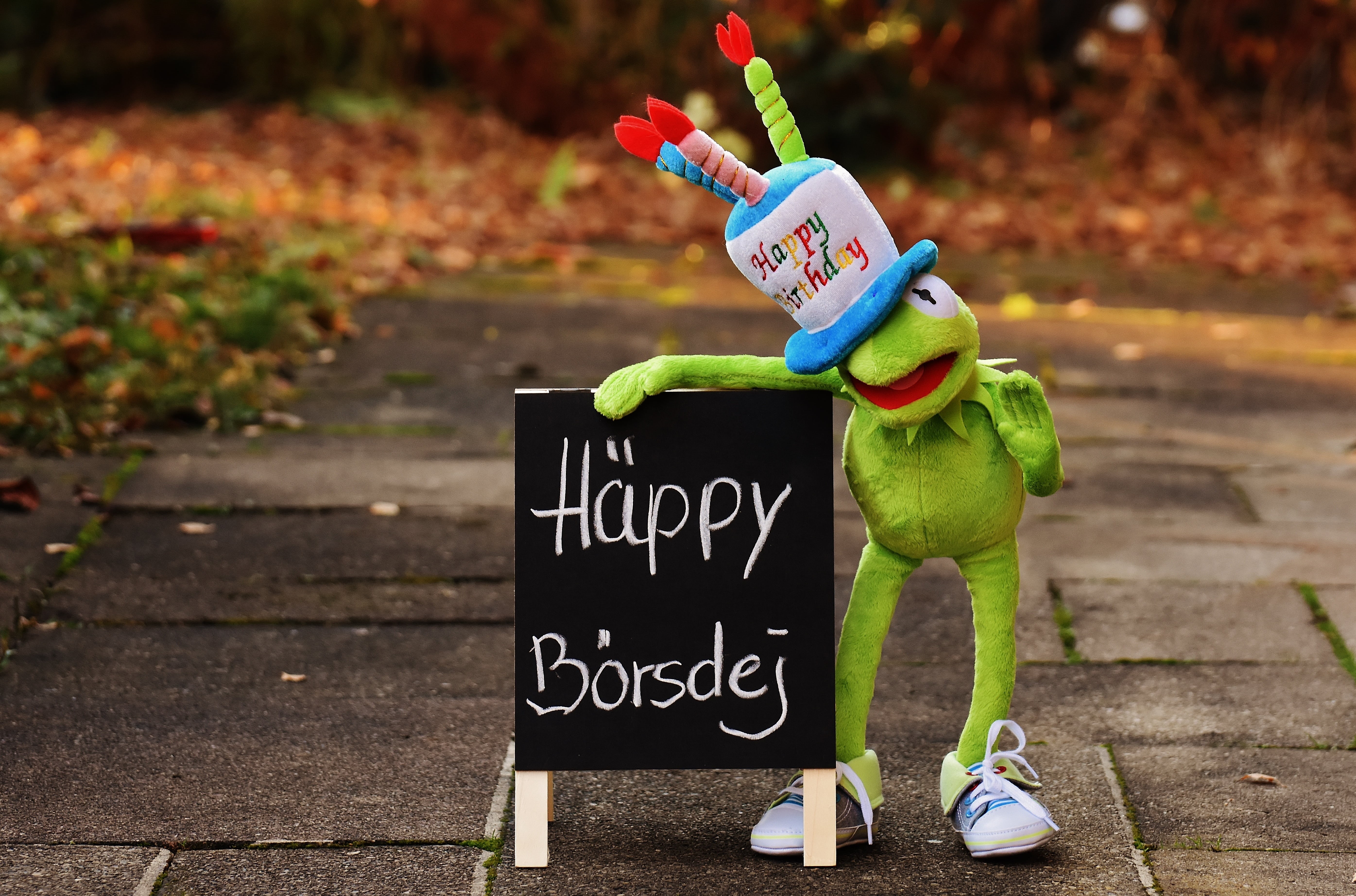 western script, communication, frog, birthday wishes, signboard, greeting, autumn, birthday, wish congratulations, kermit, board, greeting card, footpath, HD Wallpaper