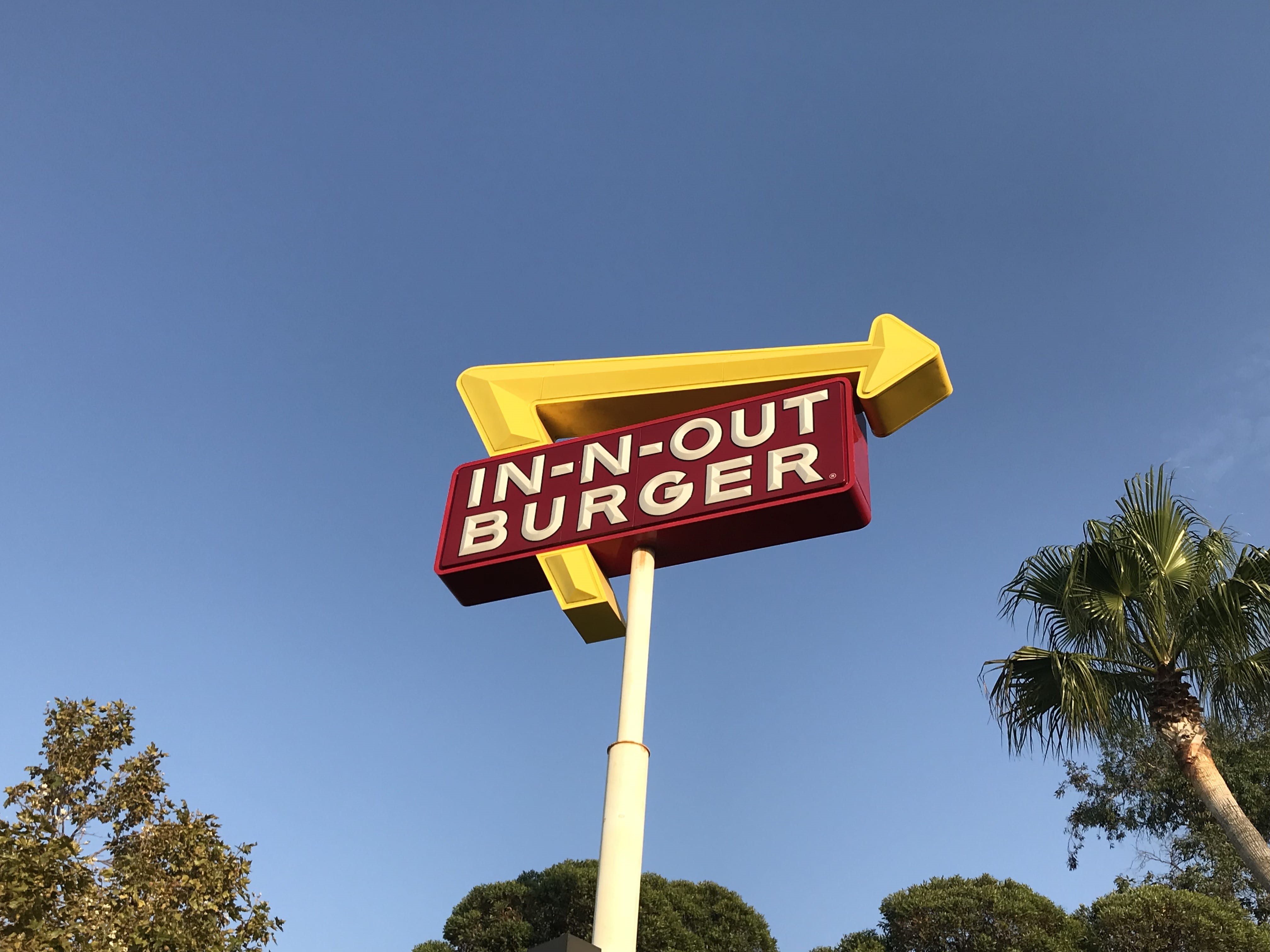 yellow, low, low angle view, guidance, no people, nature, burner, western script, road, n, drive, angle, blue, plant, 4K, sign, signage, tree, day, in-n-out, HD Wallpaper