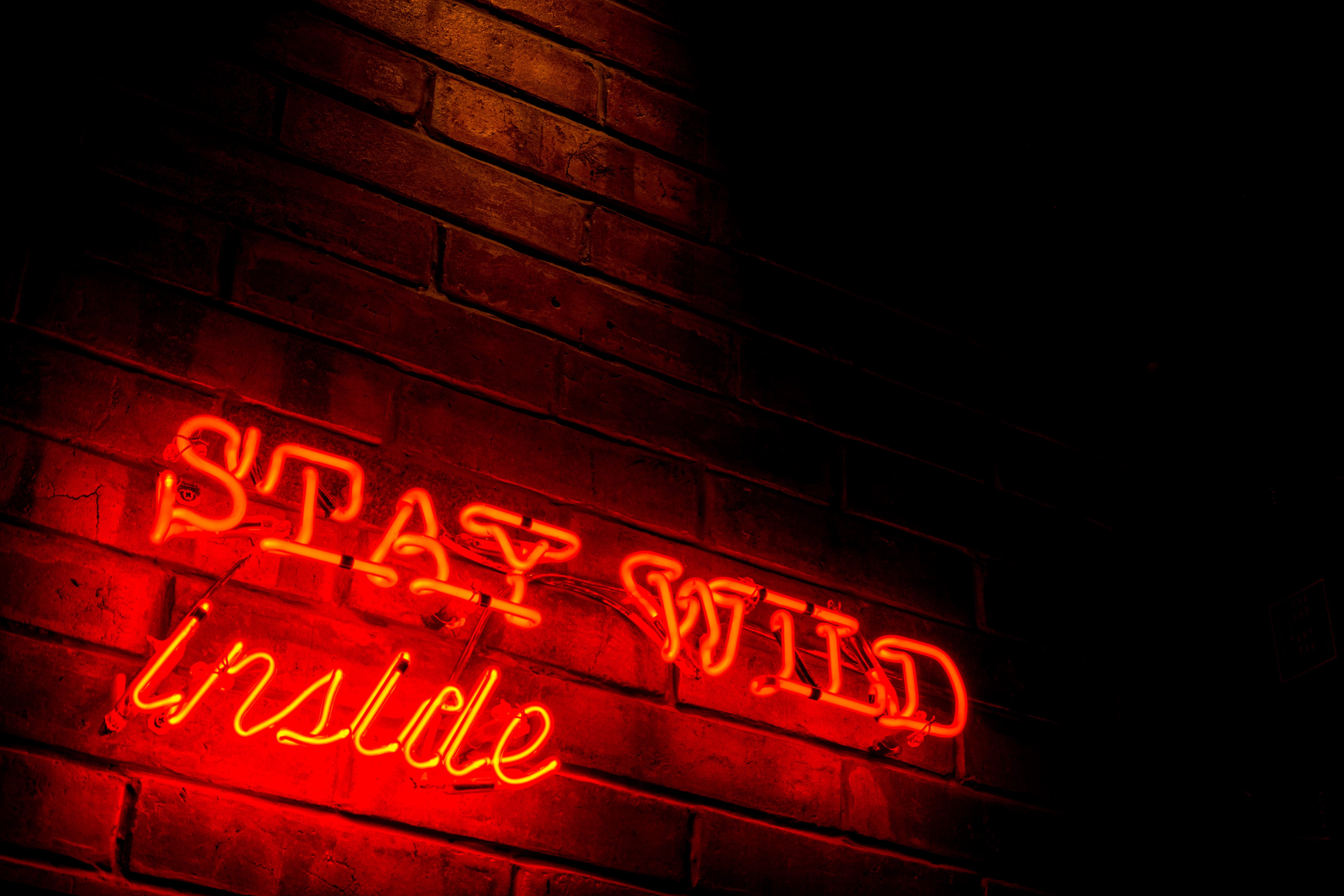 business, neon, city, wild, architecture, food and drink, text, communication, dinner, signboard, led, night, stay, diner, sign, nightlife, restaurant, HD Wallpaper
