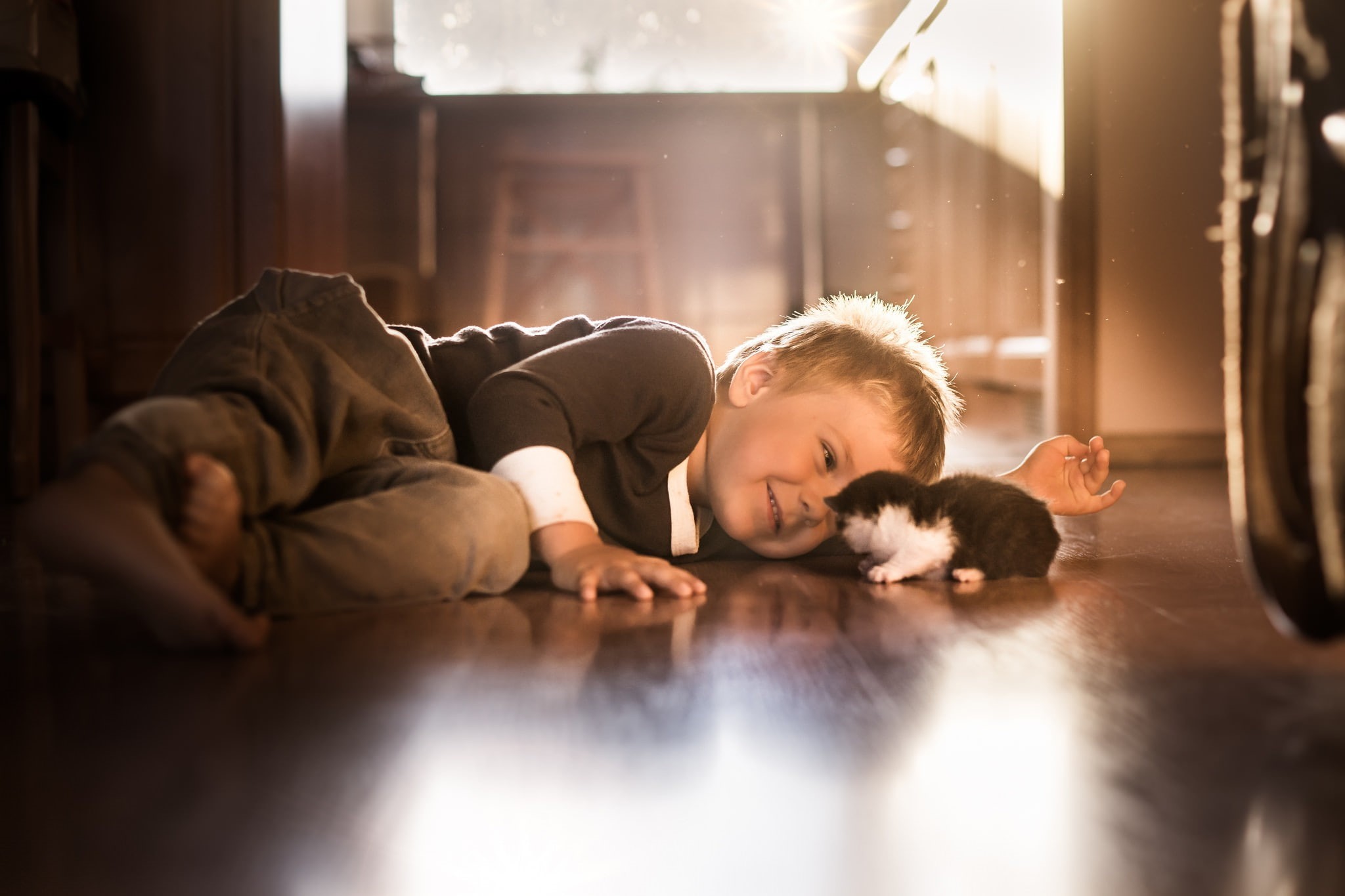 1080P, cat, children, little boy, people, animals, HD Wallpaper