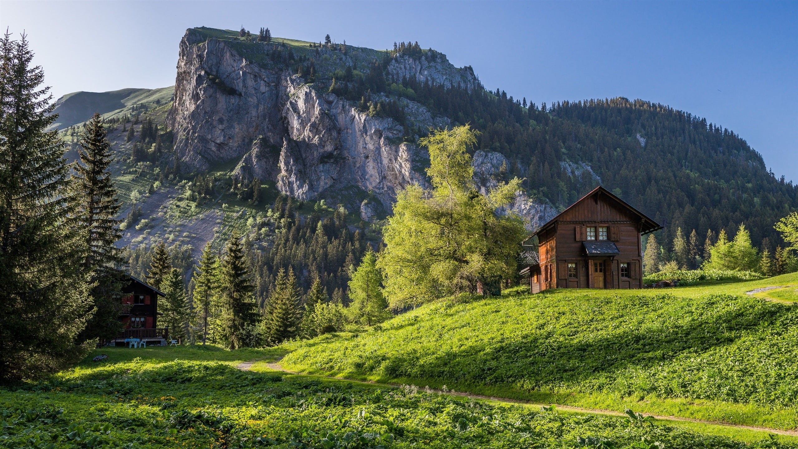 House, Mountains, Alps, Trees, Valais, wooden, Switzerland, 2K, tall, brown, Grass, green, HD Wallpaper