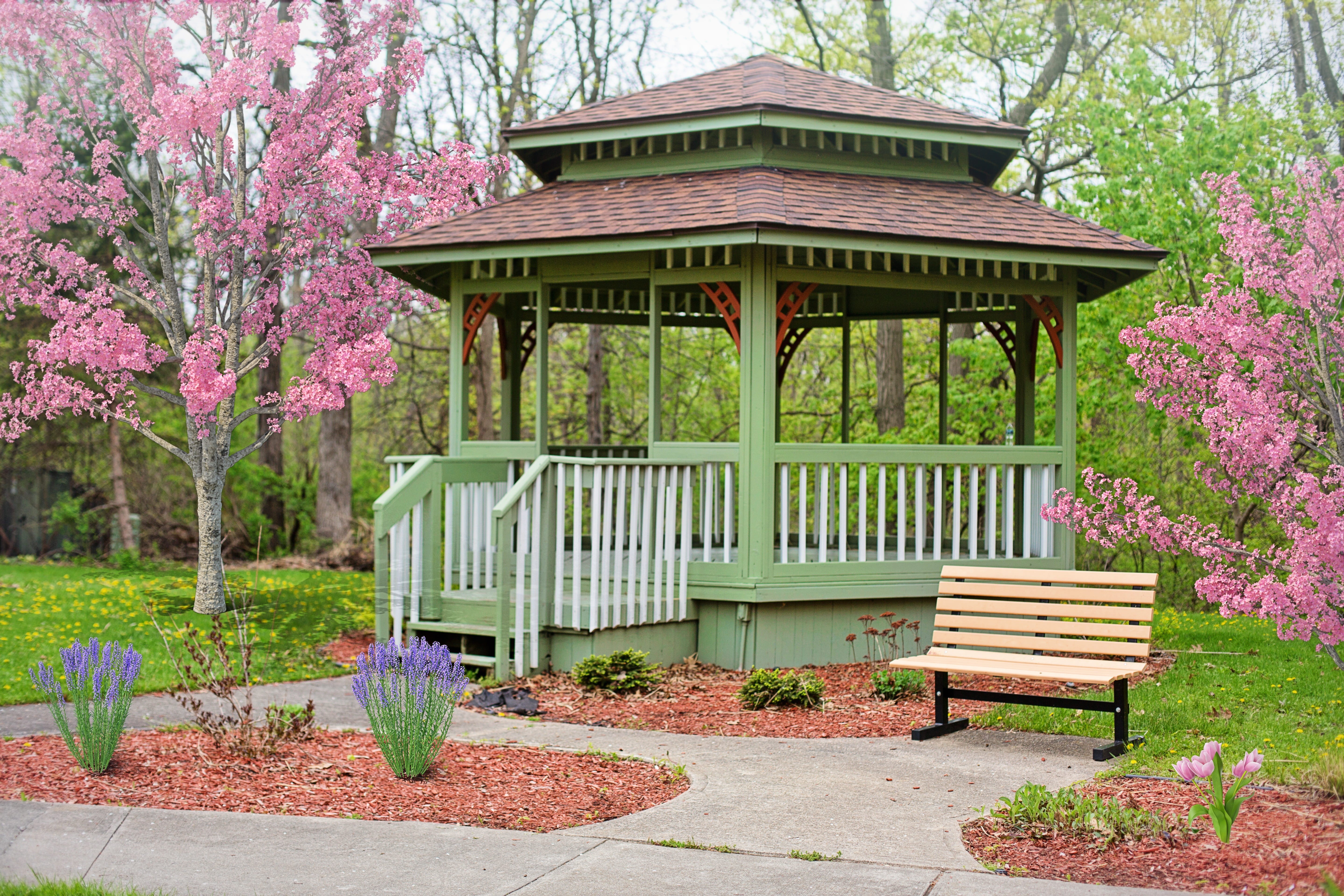 ornamental garden, landscape, garden path, wooden, outdoors, no people, flowering plant, growth, springtime, built structure, bench, grass, surrounded, HD Wallpaper