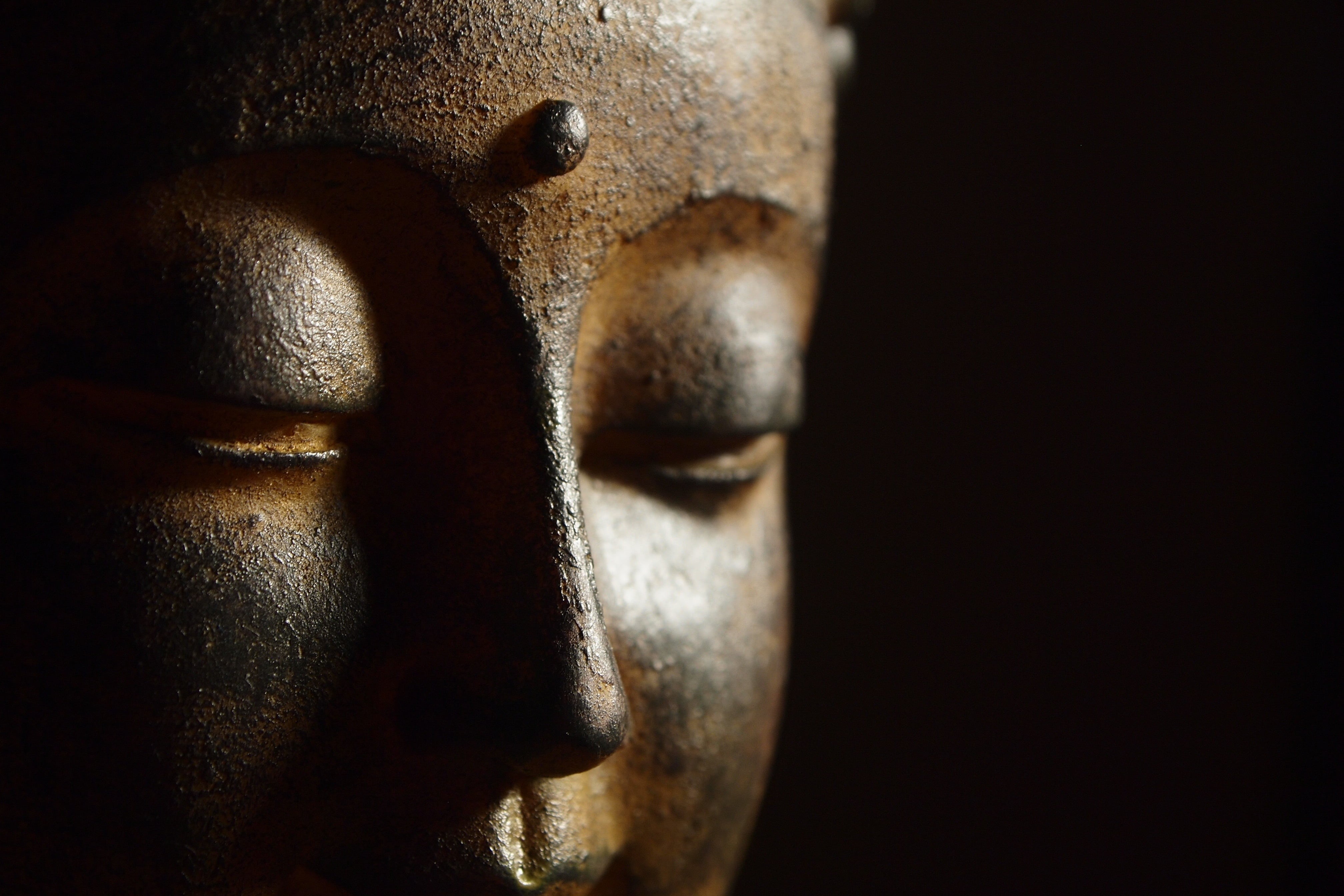 religion, buddha, close-up, 4K, studio shot, serious, statue, looking, facial expression, human face, copy space, contemplation, strength, symbol, headshot, HD Wallpaper