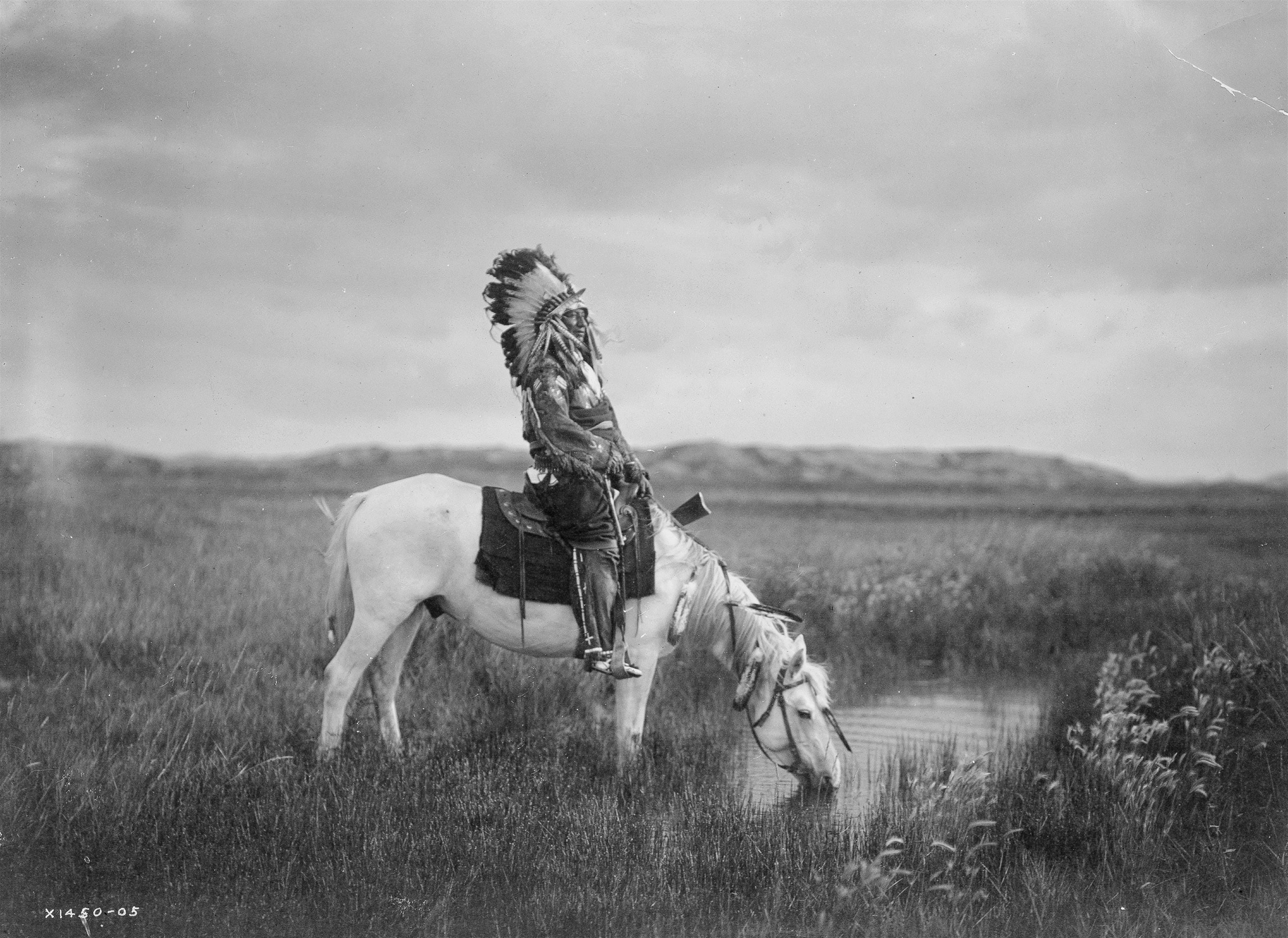 animal wildlife, heritage, school, grass, outdoors, sky, domestic, ride, beautiful, adults only, native american, traditional, cultural, pets, indian, cloud - sky, HD Wallpaper