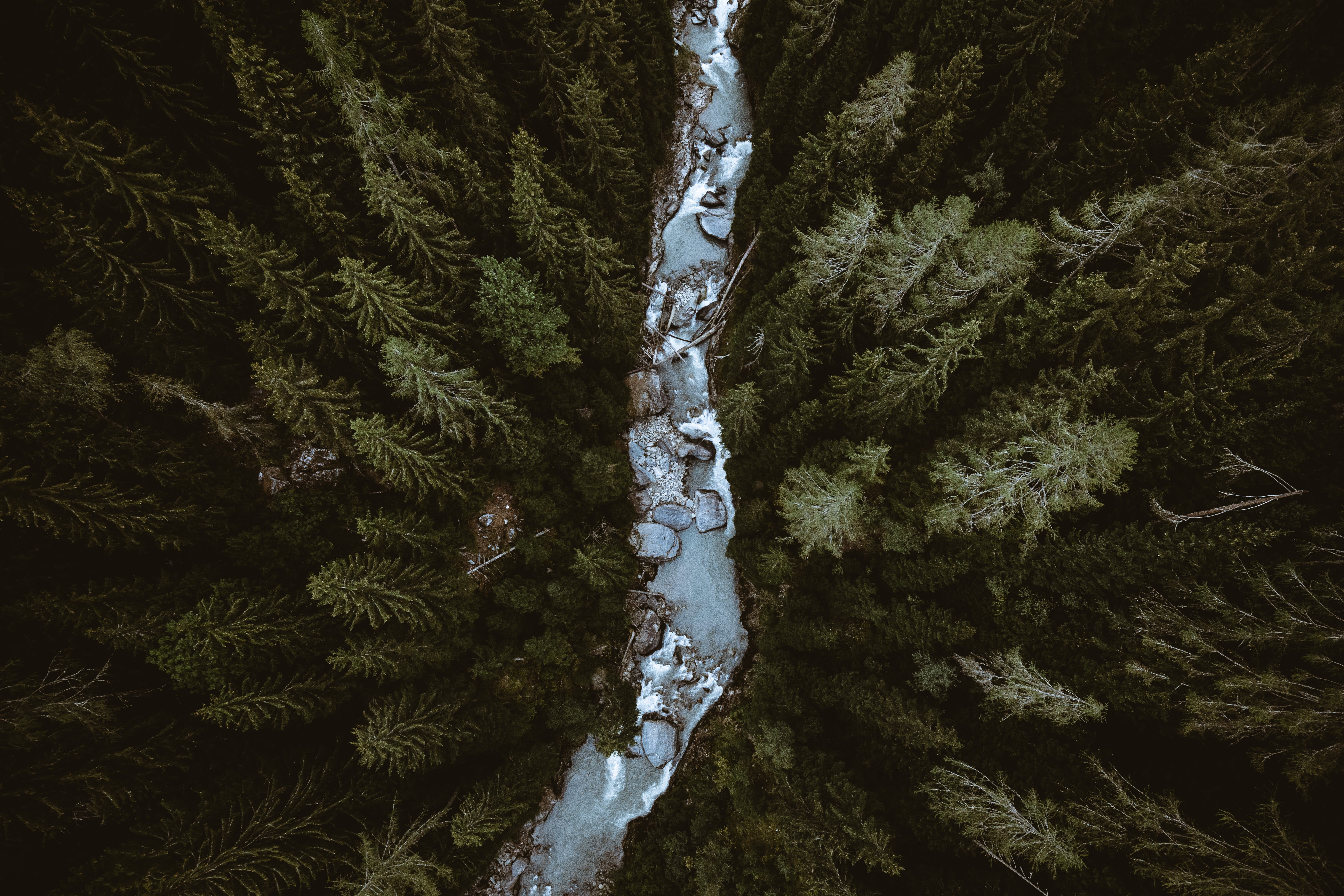 5K, eye, photography, no People, landscape, fir Tree, stream, green Color, explore, birds eye view, travel, view, forest, beauty In Nature, wanderlust, HD Wallpaper