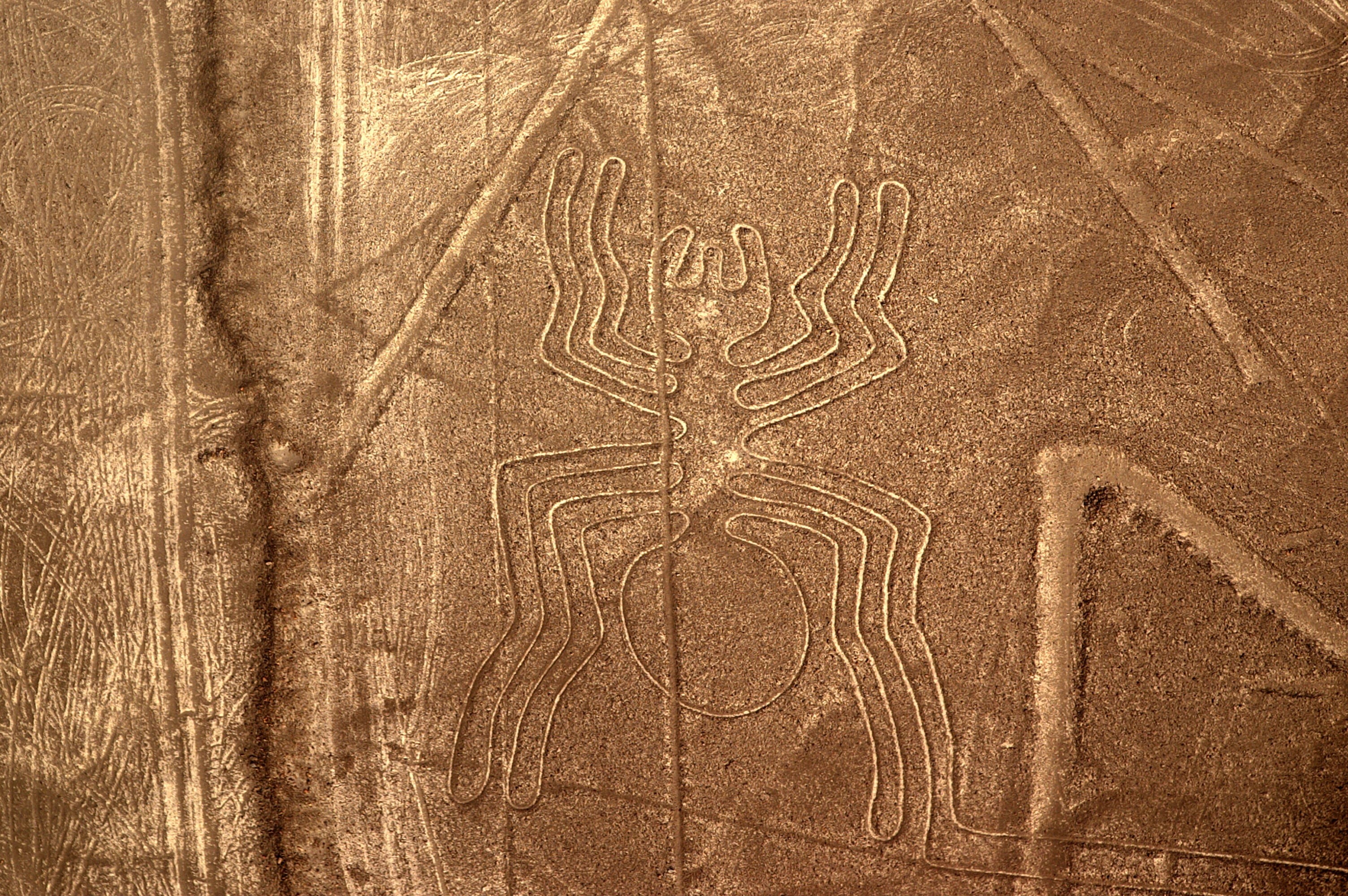 nazca plateau, pattern, art and craft, history, best, land, ornate, backgrounds, wood grain, nature, wood - material, tree, outdoors, wood, craft, textured, HD Wallpaper