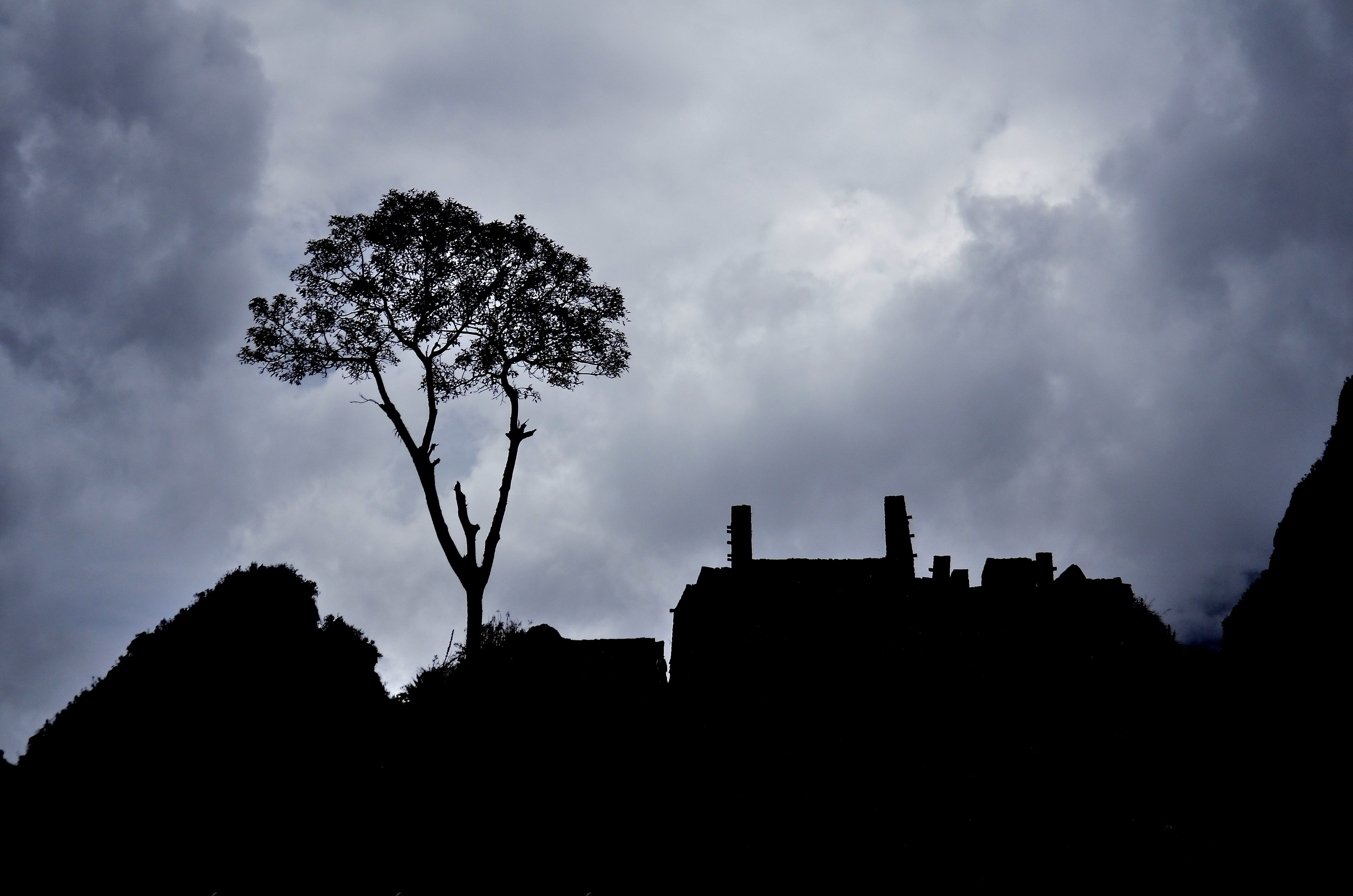 outline, machu picchu, building exterior, dusk, portals machupicchu, outdoors, cusco peru, plant, low angle view, sky, tree, overcast, built structure, HD Wallpaper