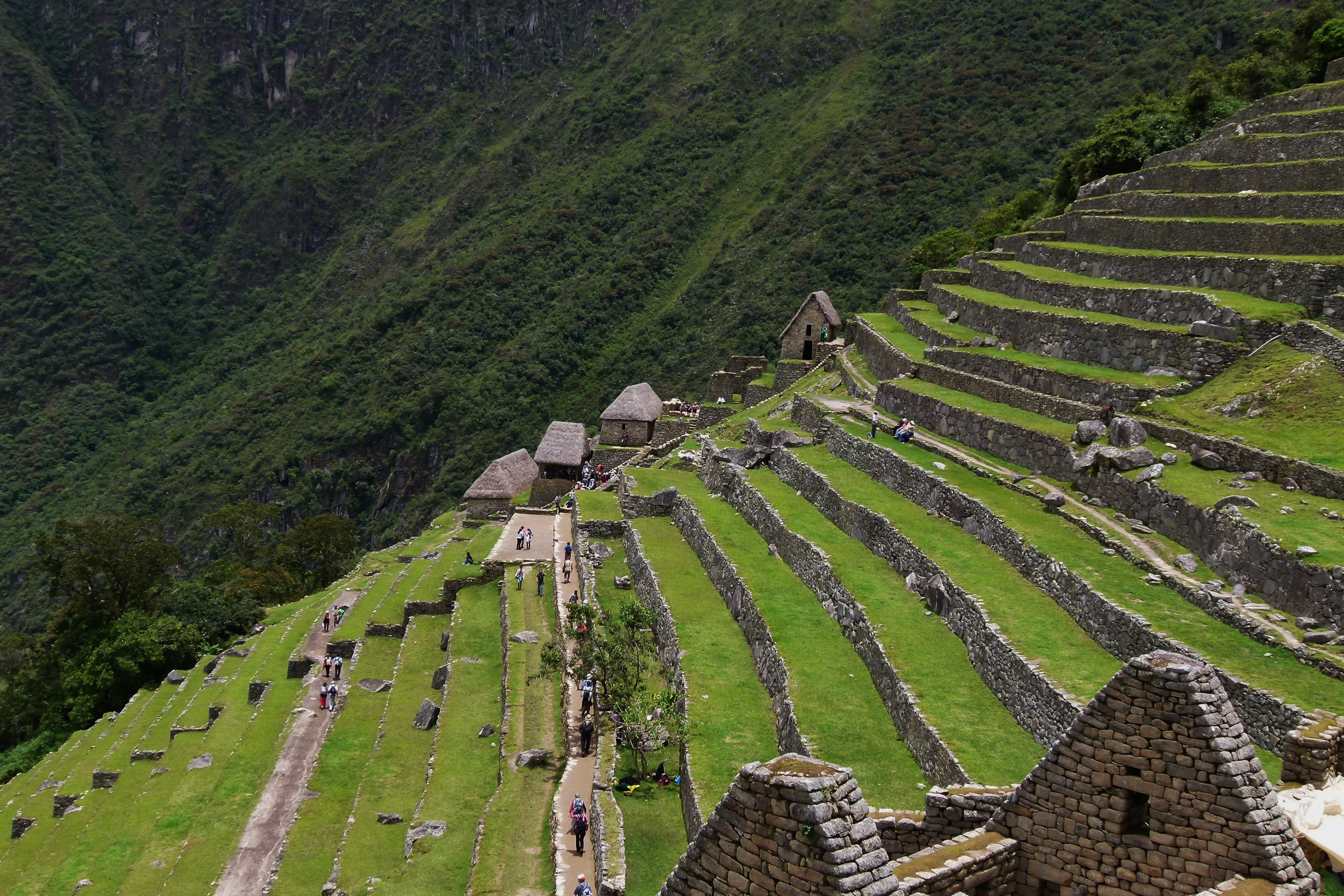 hillside, environment, famous Place, cusco City, cultures, no people, outdoors, asia, the past, day, land, green color, scenics - nature, machu Picchu, HD Wallpaper