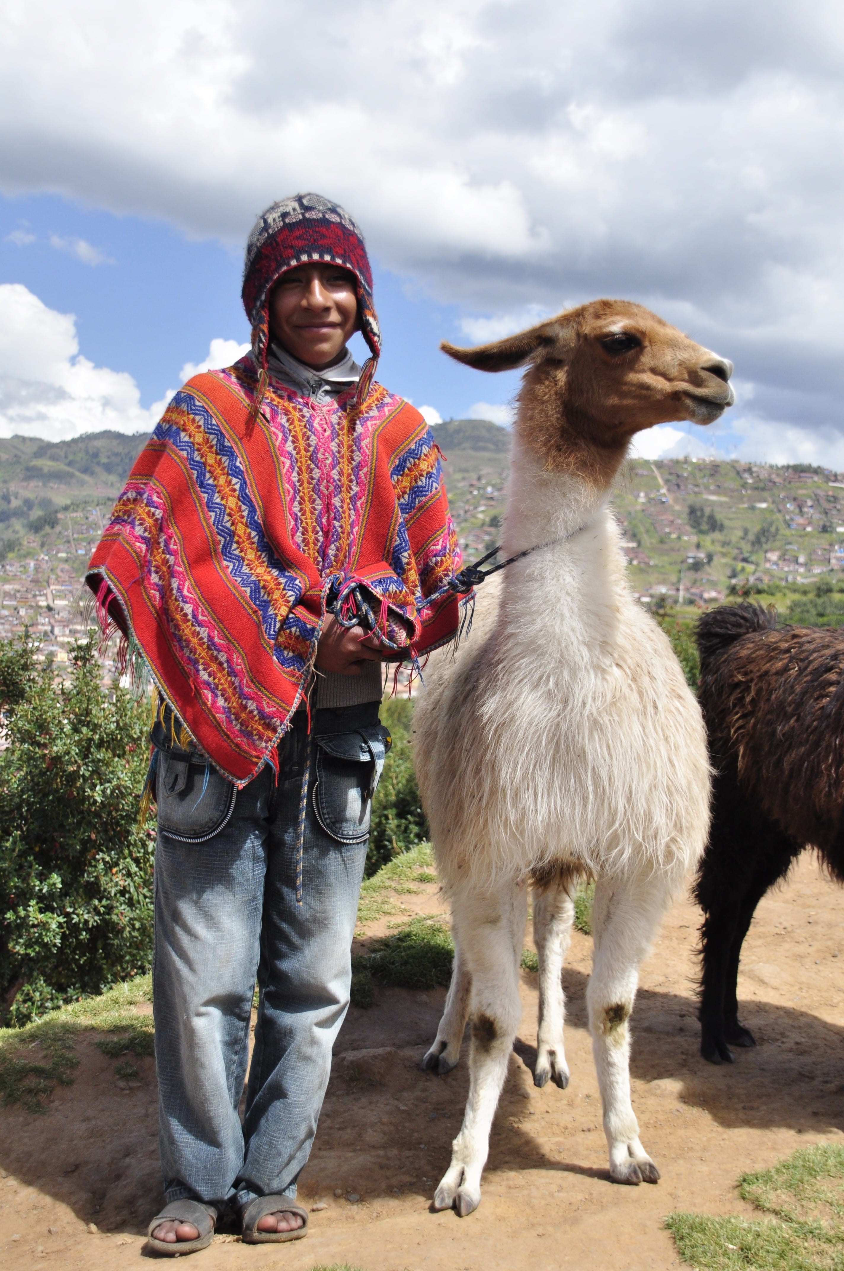 peruvian Culture, white, poncho, field, leisure activity, cultures, Andes, holding, domestic animals, one person, vertebrate, animal, livestock, machu Picchu, Phone HD Wallpaper