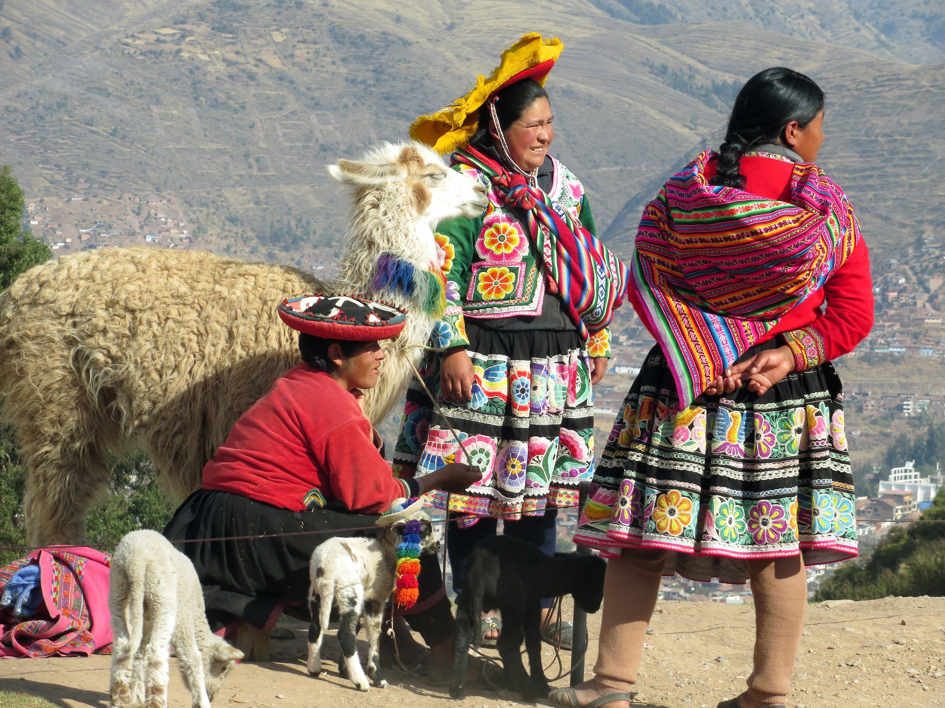 america, Costume, south, domestic, clothing, real people, ethnic, peruvian, fabrics, andes, asia, adults only, lama, women, men, cliff, group of people, HD Wallpaper