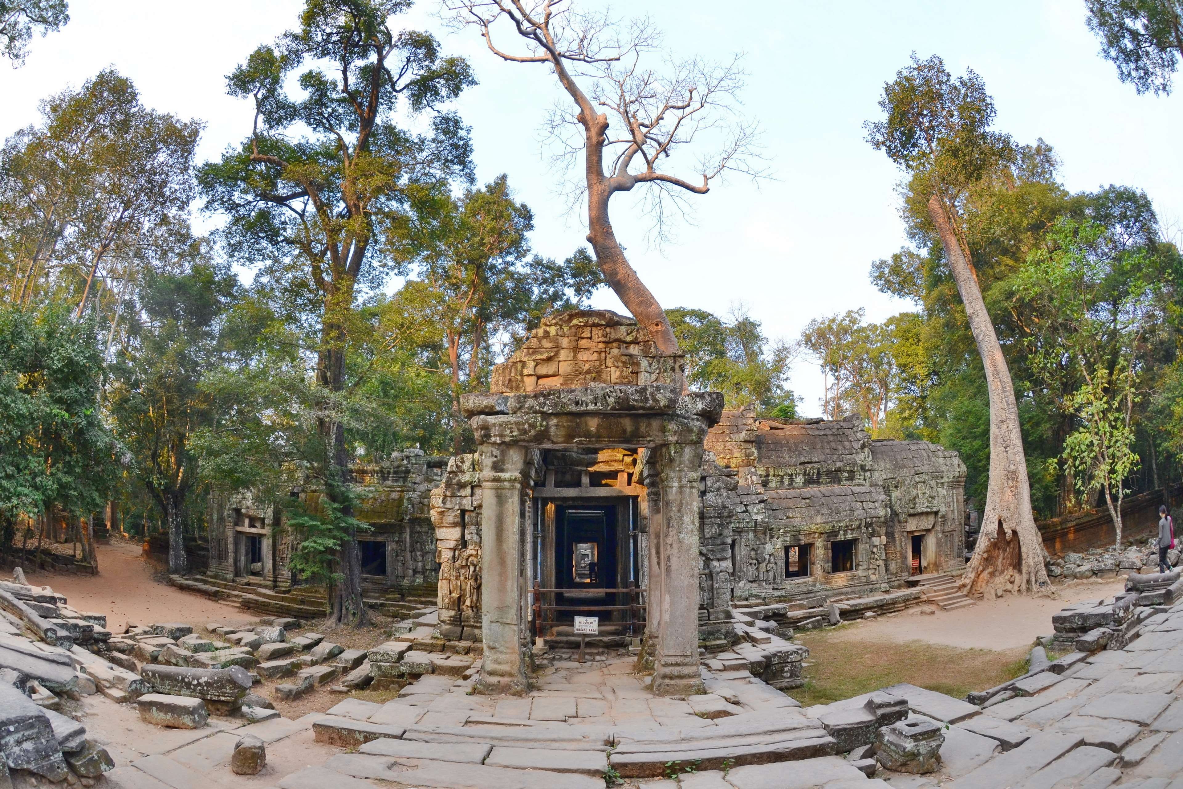 building exterior, cambodia, the past, old ruin, plant, ruined, no people, architecture, day, religion, nature, history, ta prohm, sky, khmer empire, 4K, HD Wallpaper