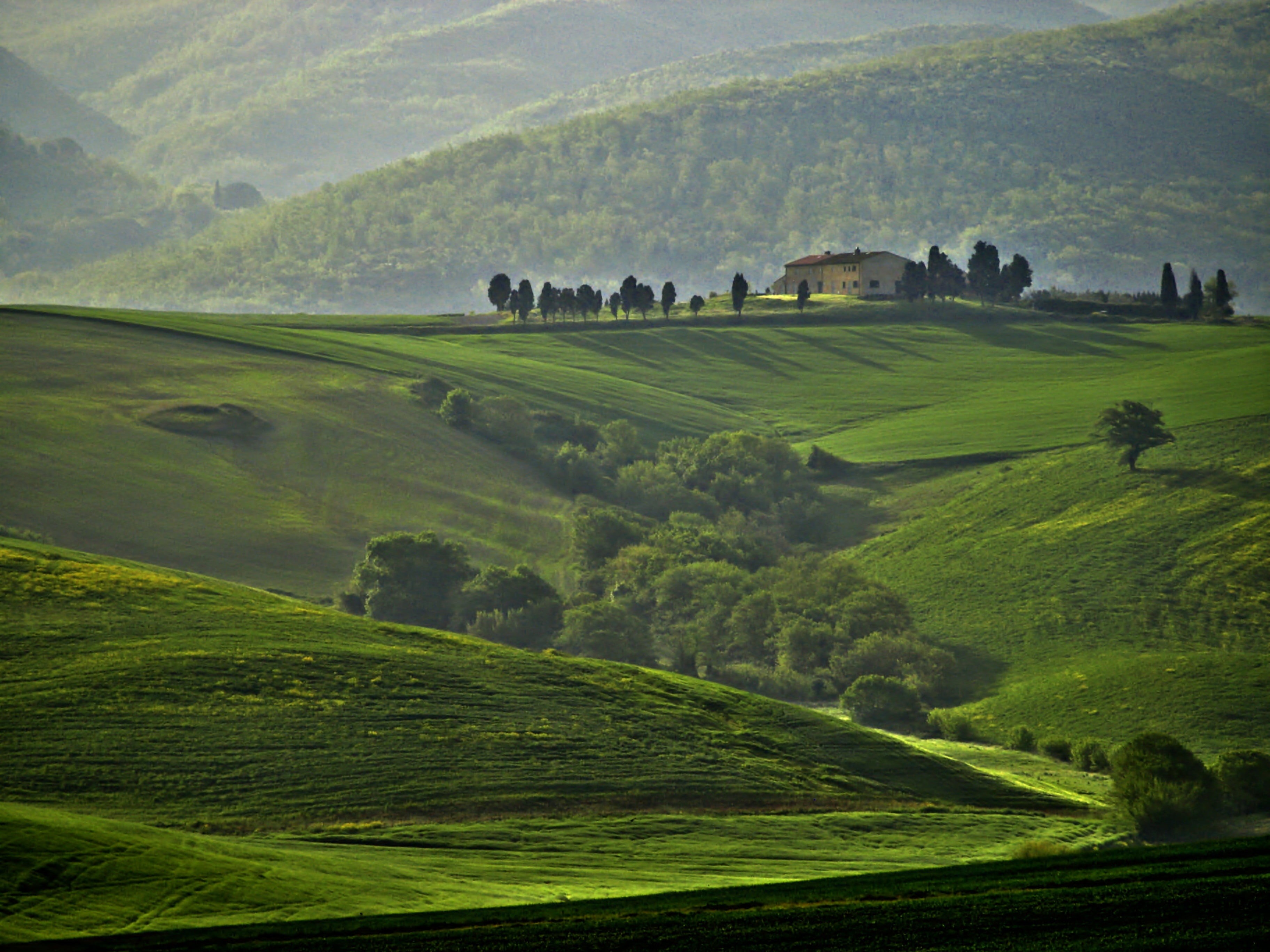 tree, summer, scenics, rural Scene, field, bel, Un, campagna, pienza, outdoors, siena Province, tuscany, hill, toscana, primavera, 2K, landscape, val dOrcia, HD Wallpaper