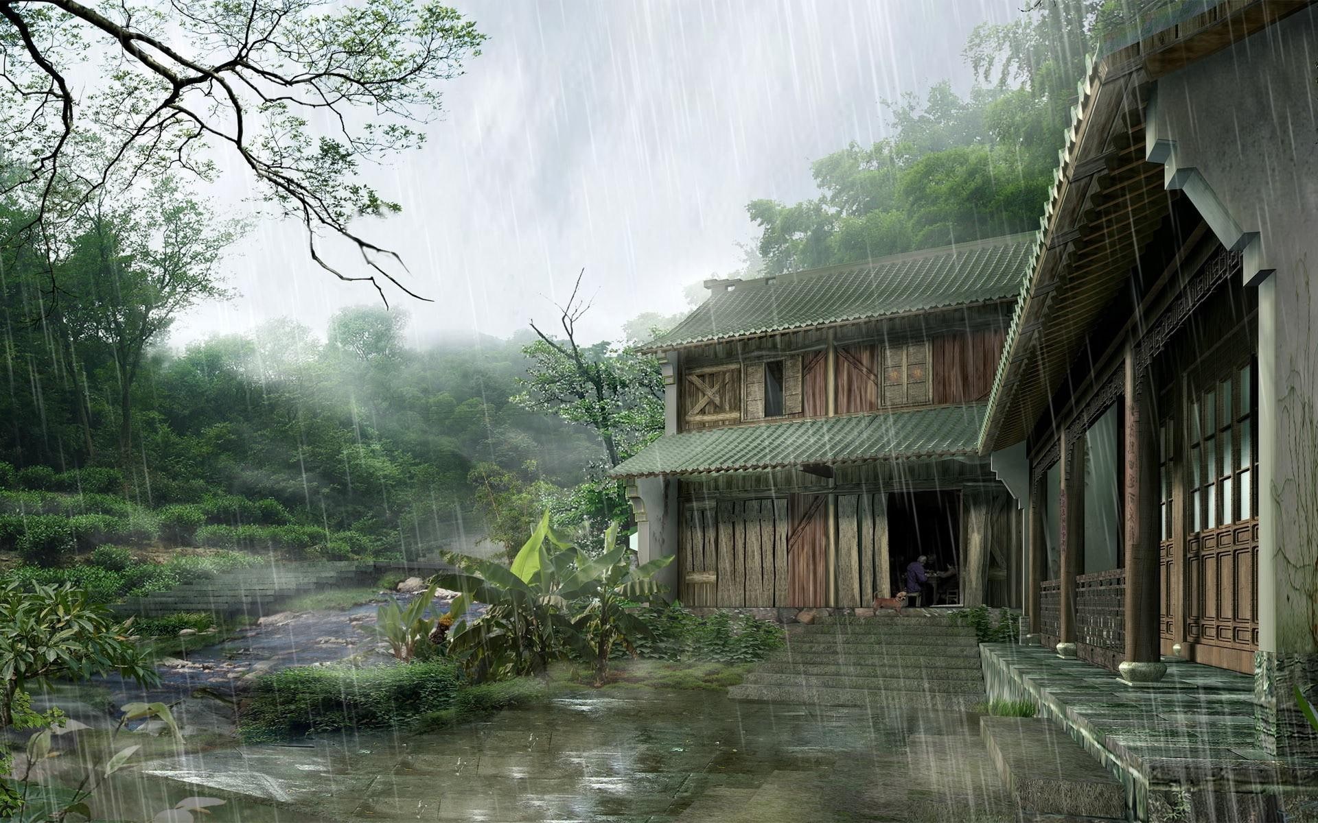brown, wooden, forest, digital art, 1920x1200, rain, 1080P, dojo, rainy, house, HD Wallpaper