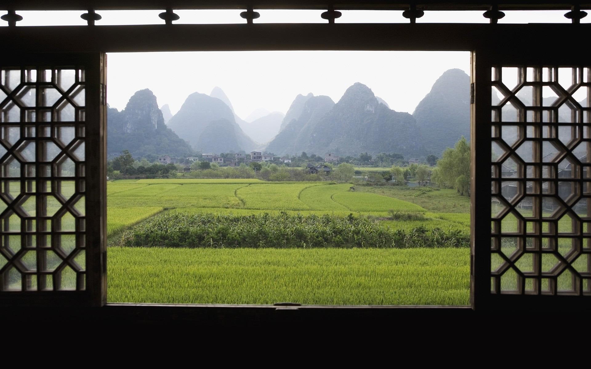 grass, dojo, green, field, rice, fields, 1920x1200, 1080P, world, HD Wallpaper