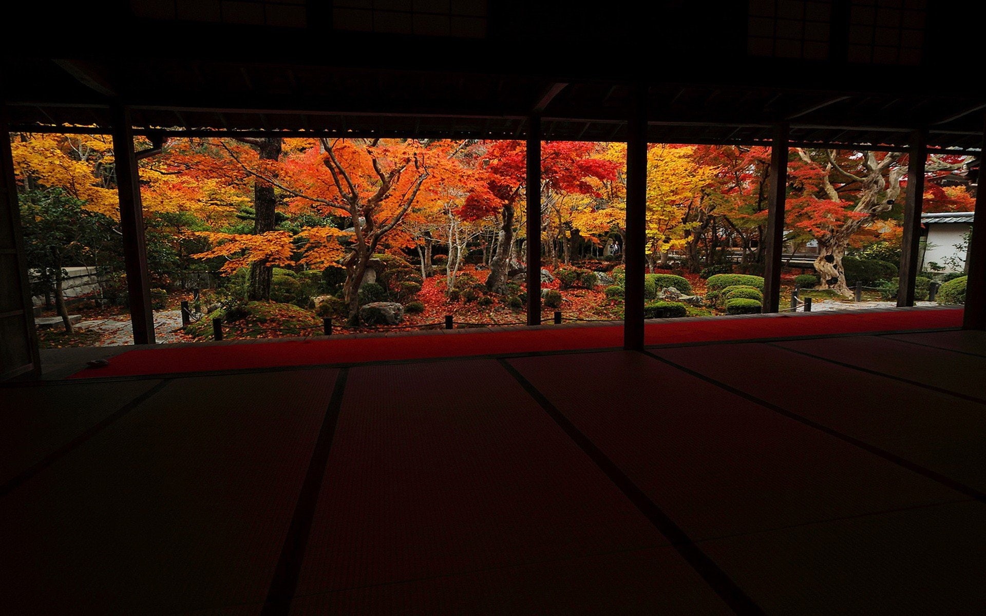 dojo, 1080P, HD Wallpaper