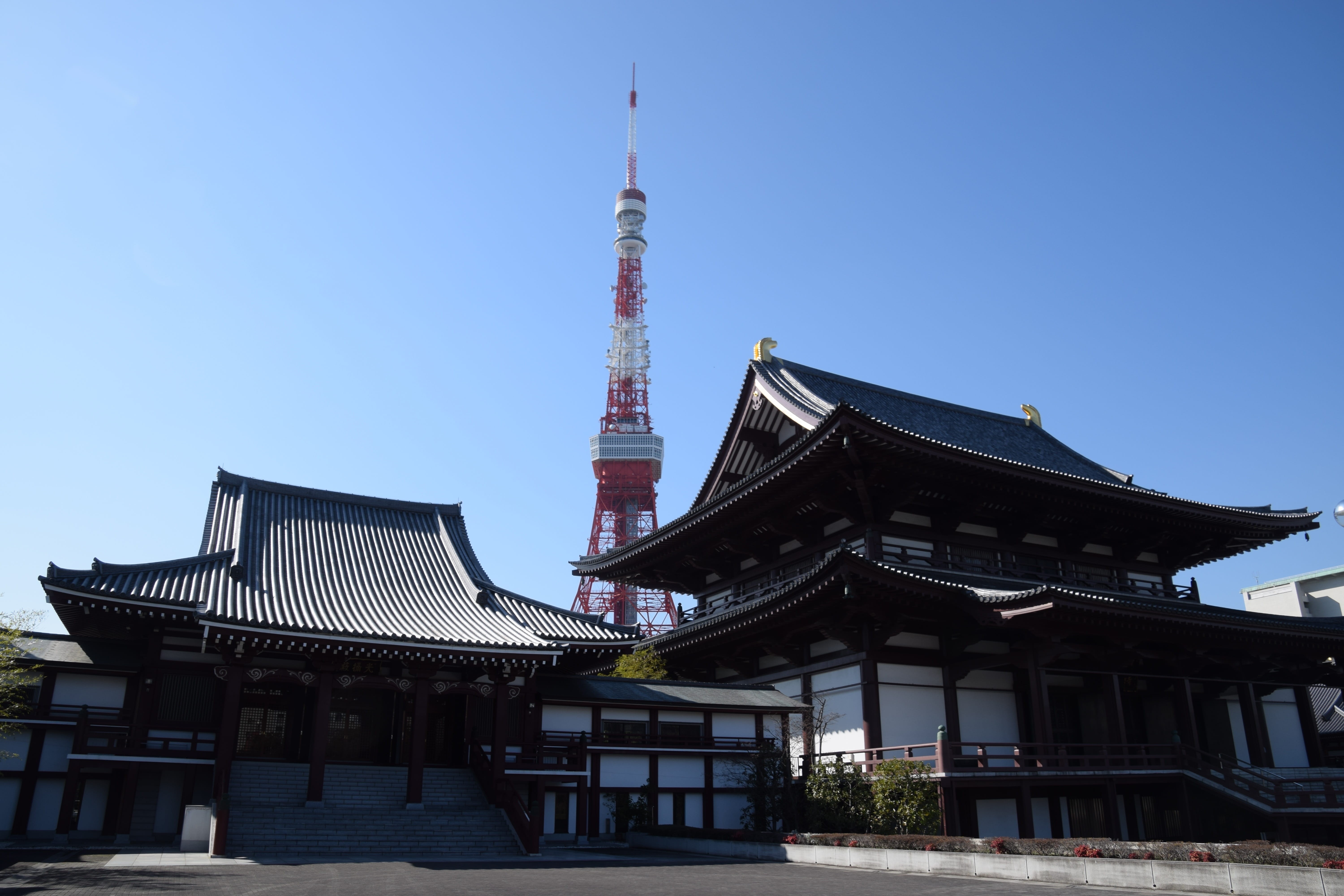 buildings, temple, daytime, clear sky, belief, architecture, roof, building exterior, religion, zojoji temple, built structure, sky, spire, white, 5K, HD Wallpaper