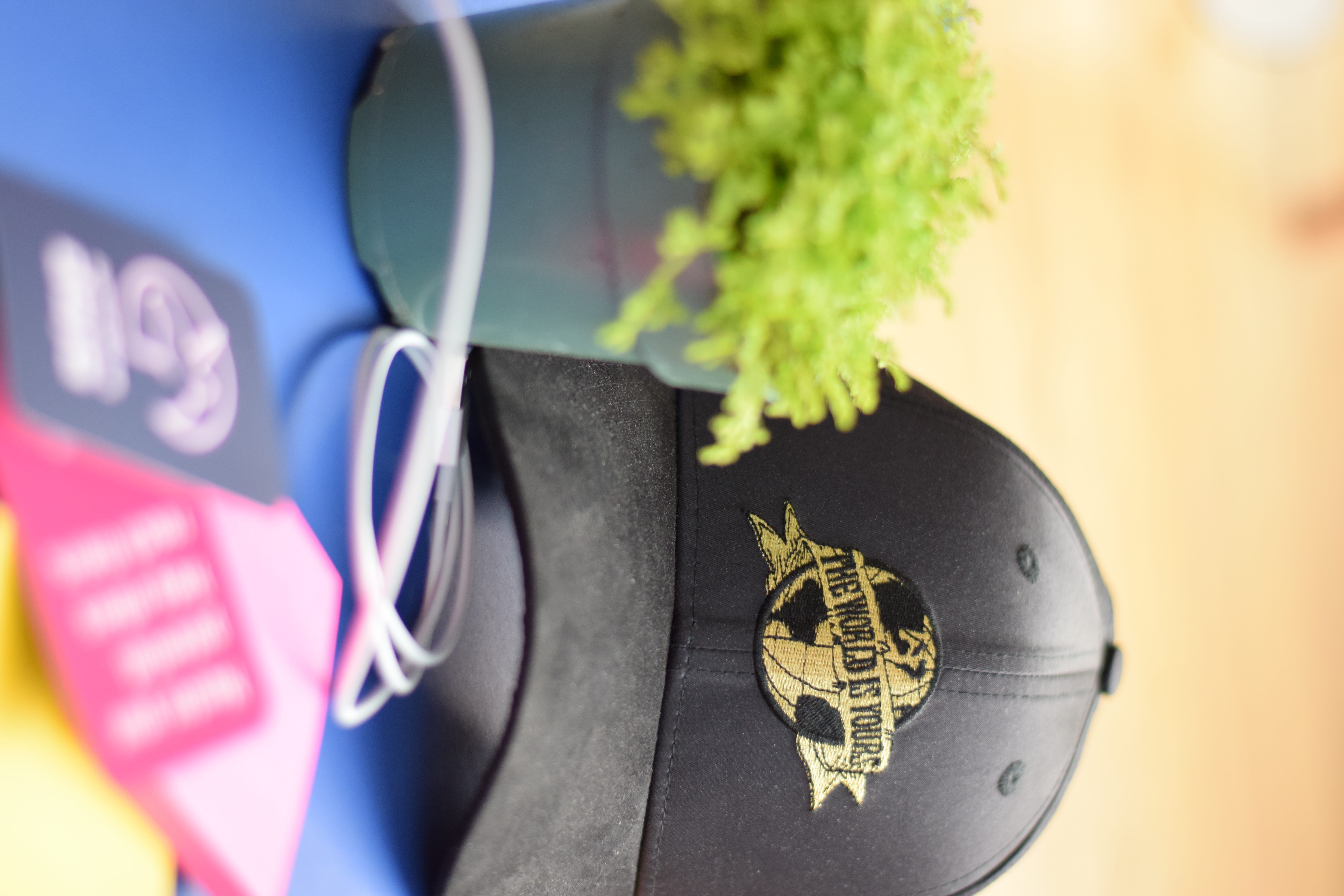 bts, black hat, geranium, patriotism, 5K, communication, unicorn dojo, clothing, bathing cap, badge, hat, the world is yours, flatlays, plant, swimming cap, HD Wallpaper