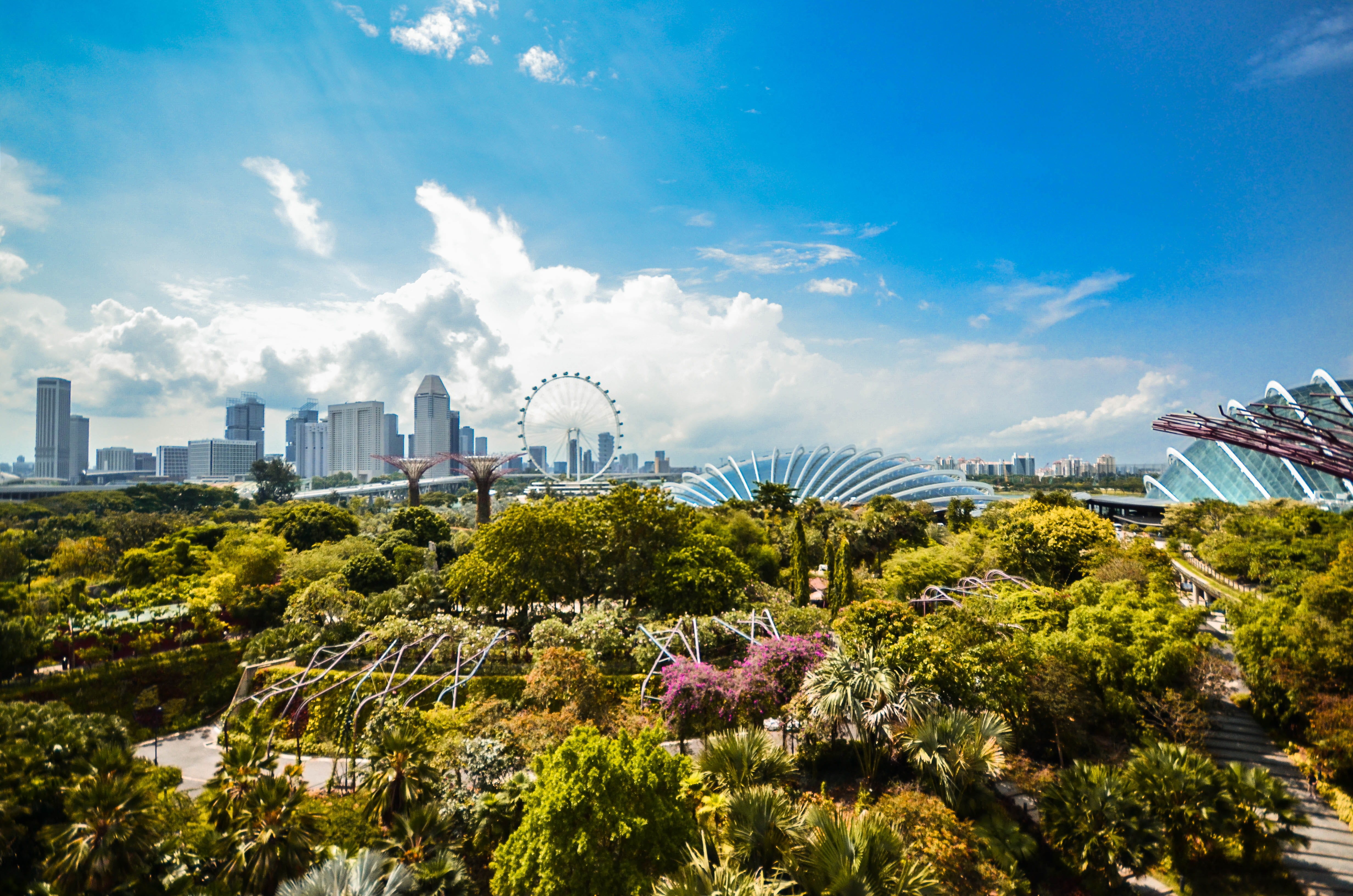 singapore, gardens, blue, 4K, modern, architecture, urban landscape, city, plant, green, nature, landscape, built structure, office building exterior, HD Wallpaper