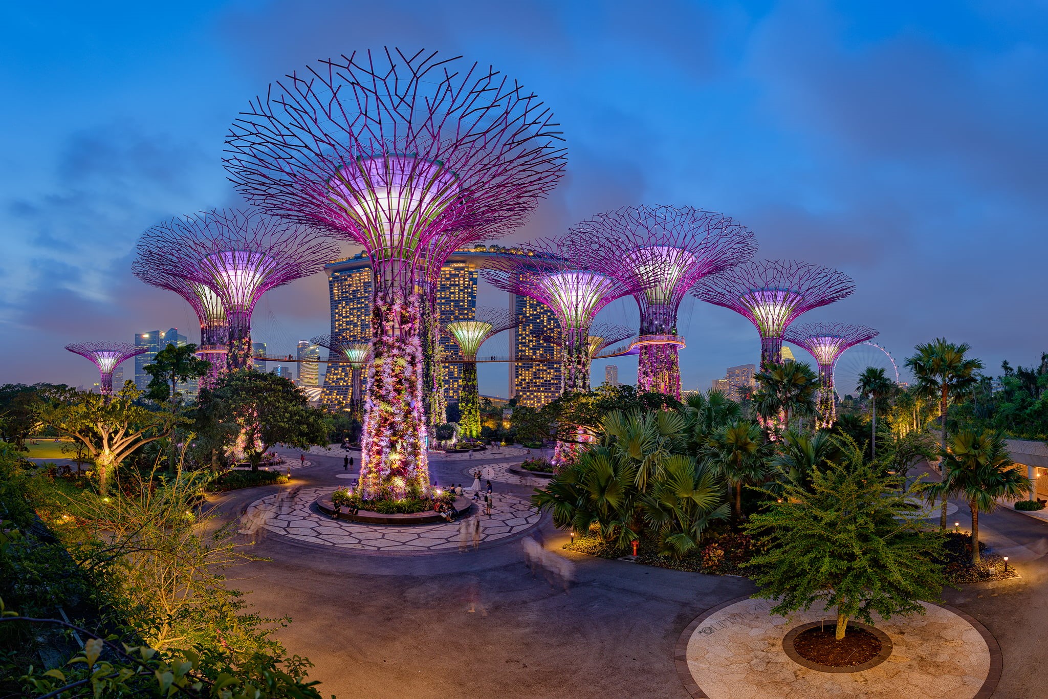 beauty in nature, growth, day, Park, tree, electric, sky, amusement park, city, purple, park - man made space, Gardens by the Bay, powered, cloud - sky, HD Wallpaper