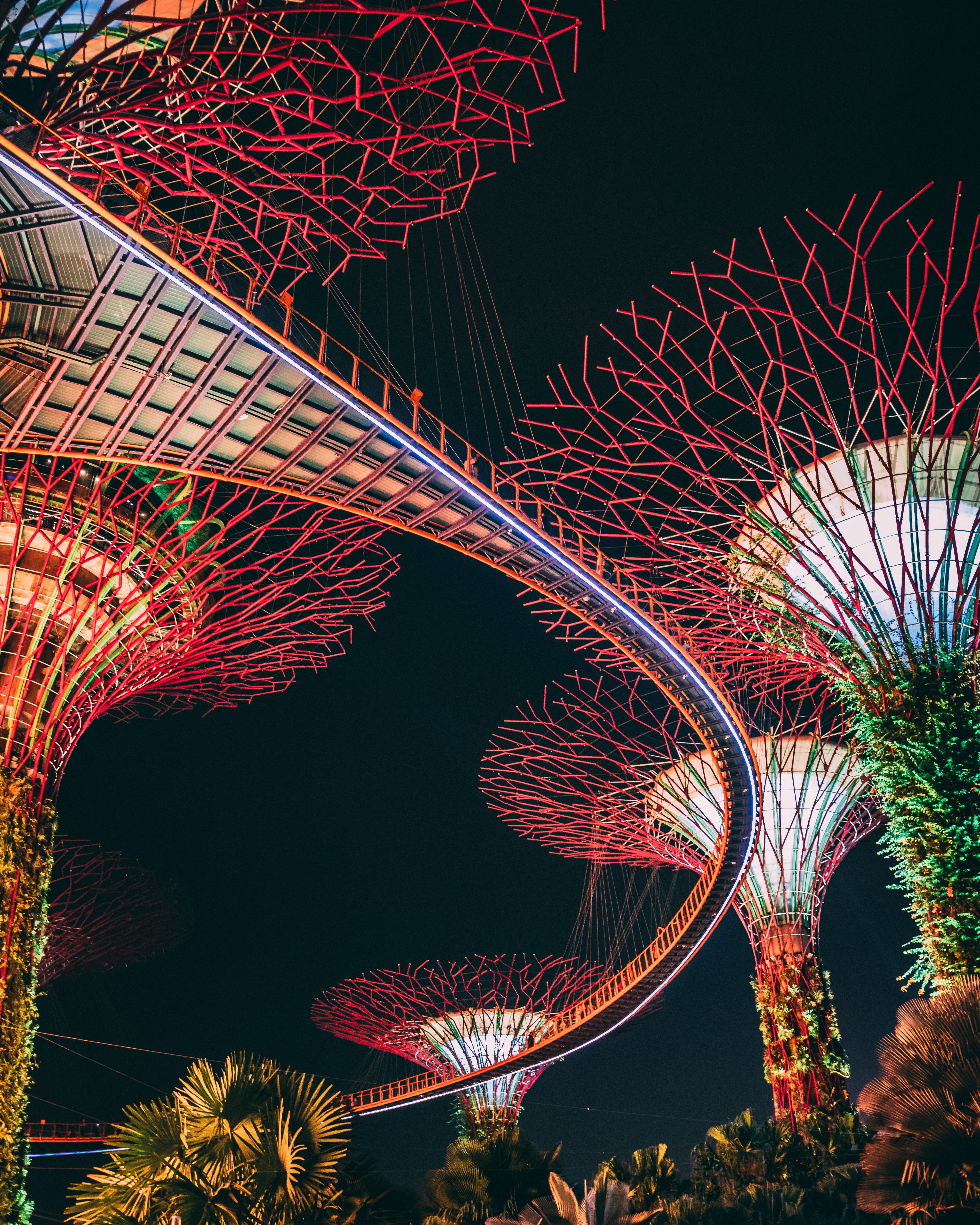 red, singapore, 4K, arts culture and entertainment, night, motion, built structure, beauty in nature, illuminated, art and craft, sky, long exposure, bay, Phone HD Wallpaper