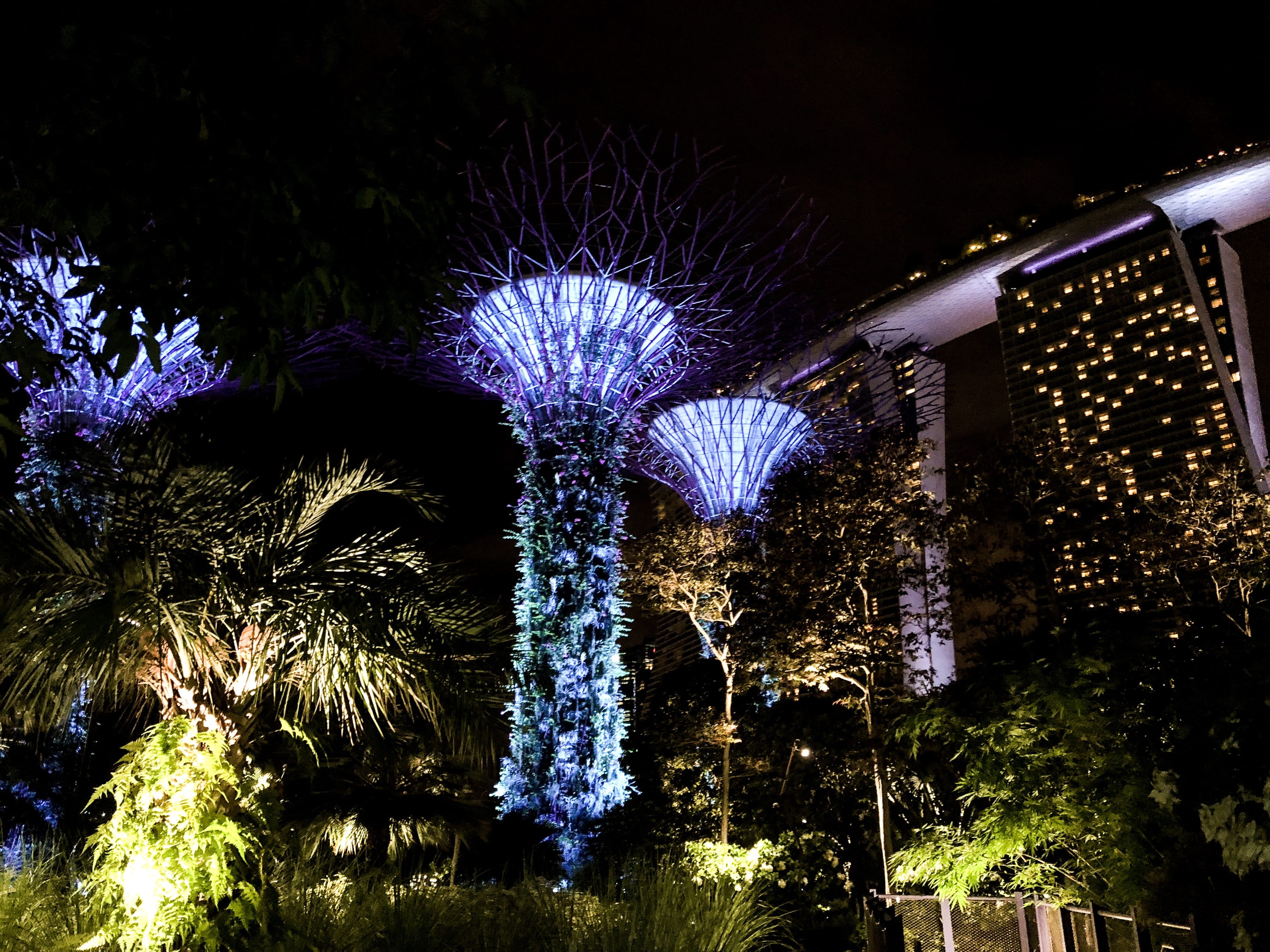 light, firework display, motion, nature, singapore, lighting equipment, outdoors, gardens by the bay, low angle view, glowing, 4K, night, no people, firework, HD Wallpaper