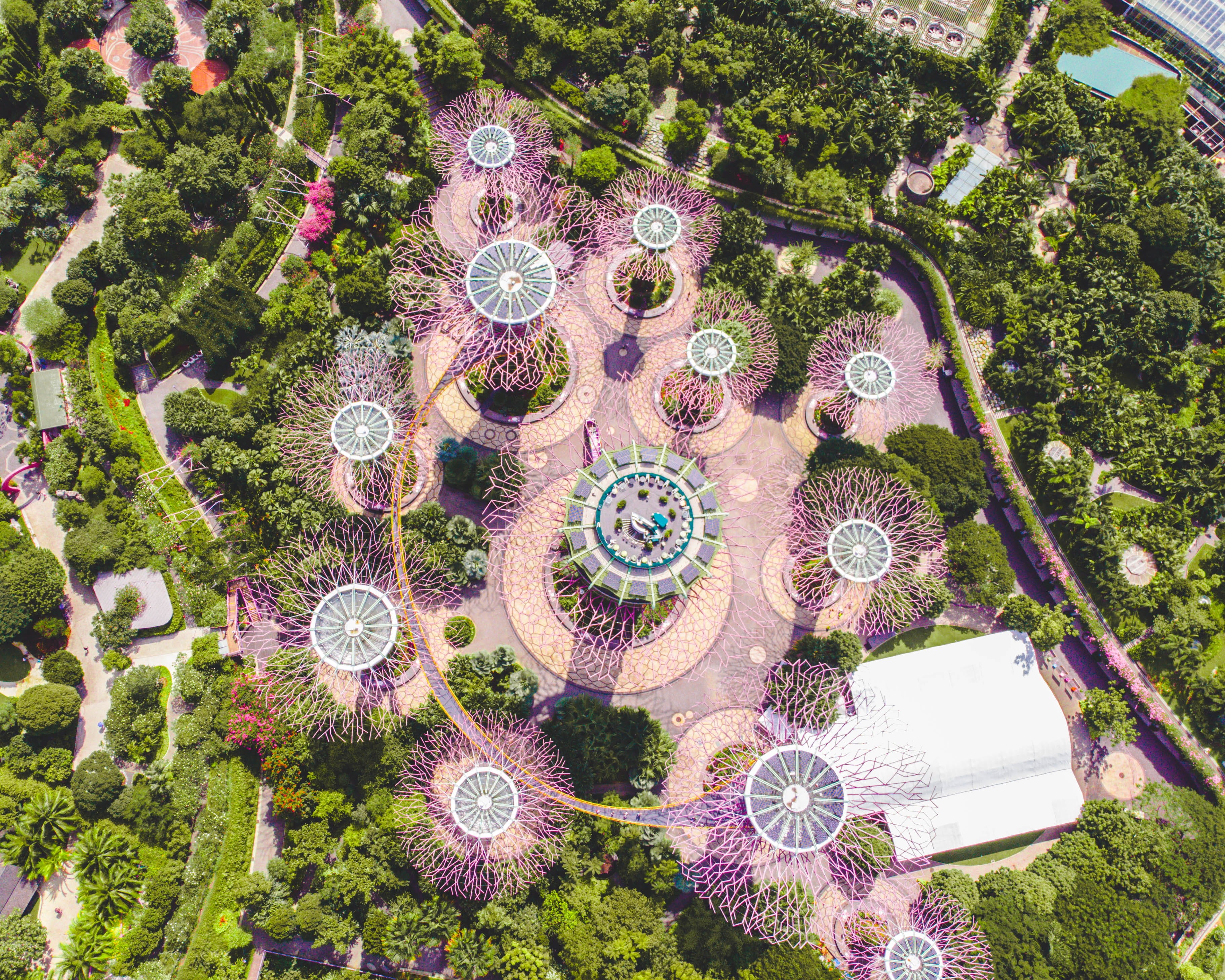 shape, beauty in nature, 2K, gardens by the bay, bay, flowering plant, gardens, tree, formal garden, day, outdoors, aerial view, modern, nature, directly above, HD Wallpaper